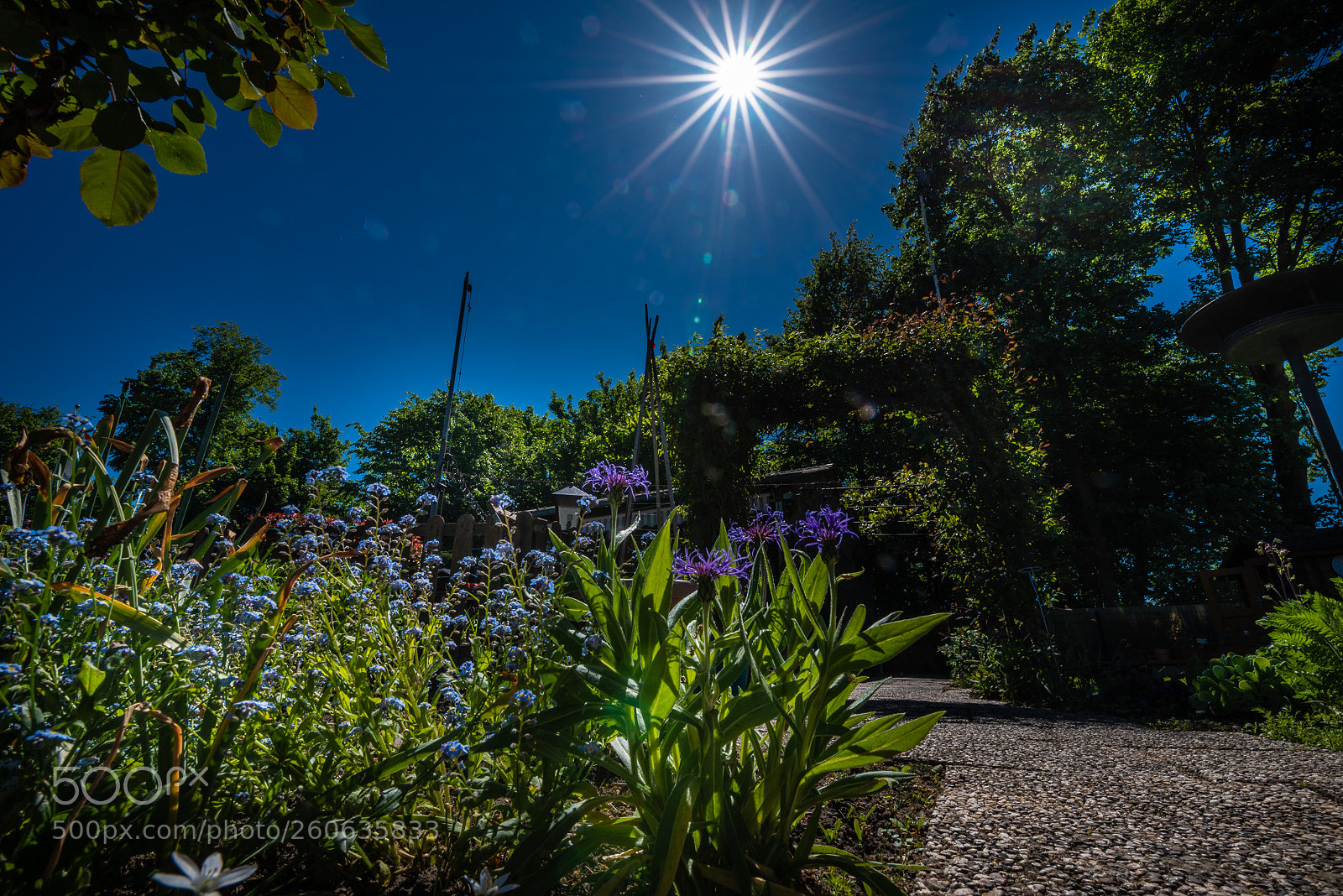 Nikon D750 sample photo. Sunstar in gelsenkirchen photography