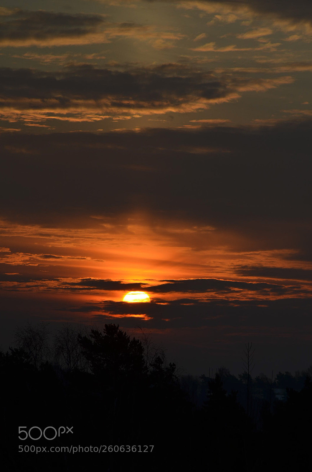Nikon D5100 sample photo. Sunrise photography