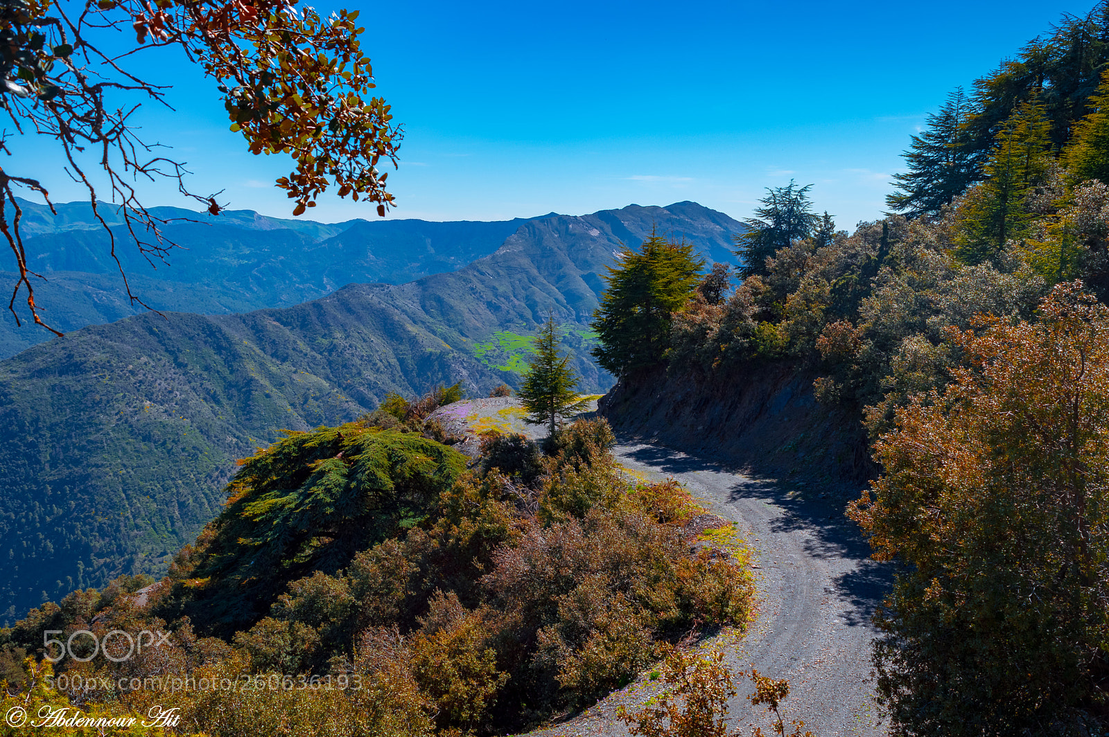 Nikon D3200 sample photo. Beautiful path! photography