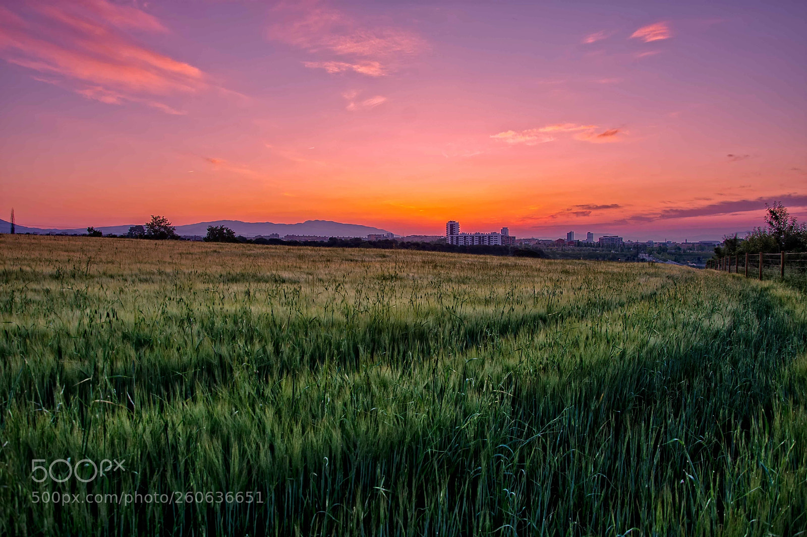 Nikon D7200 sample photo. Parc agrari sabadell photography