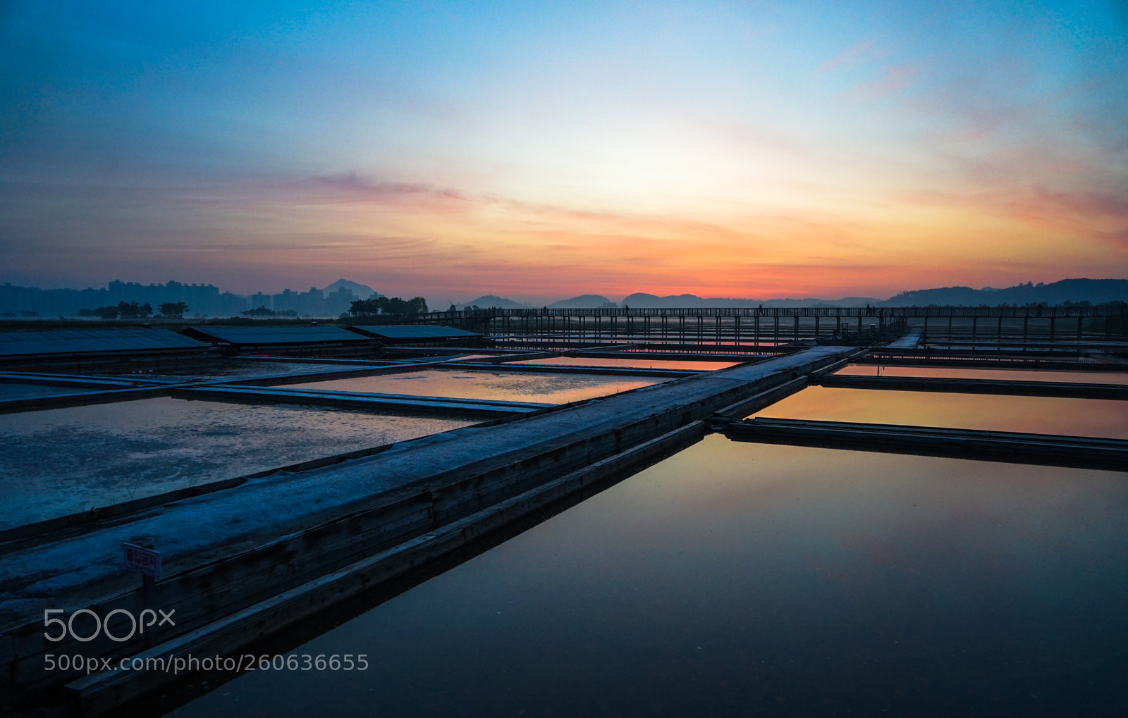 Sony a7 II sample photo. Dsc photography