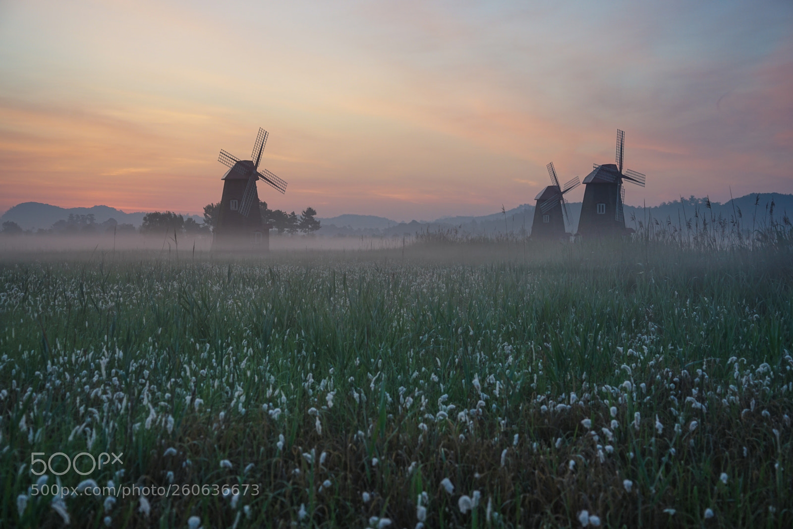 Sony a7 II sample photo. Dsc photography