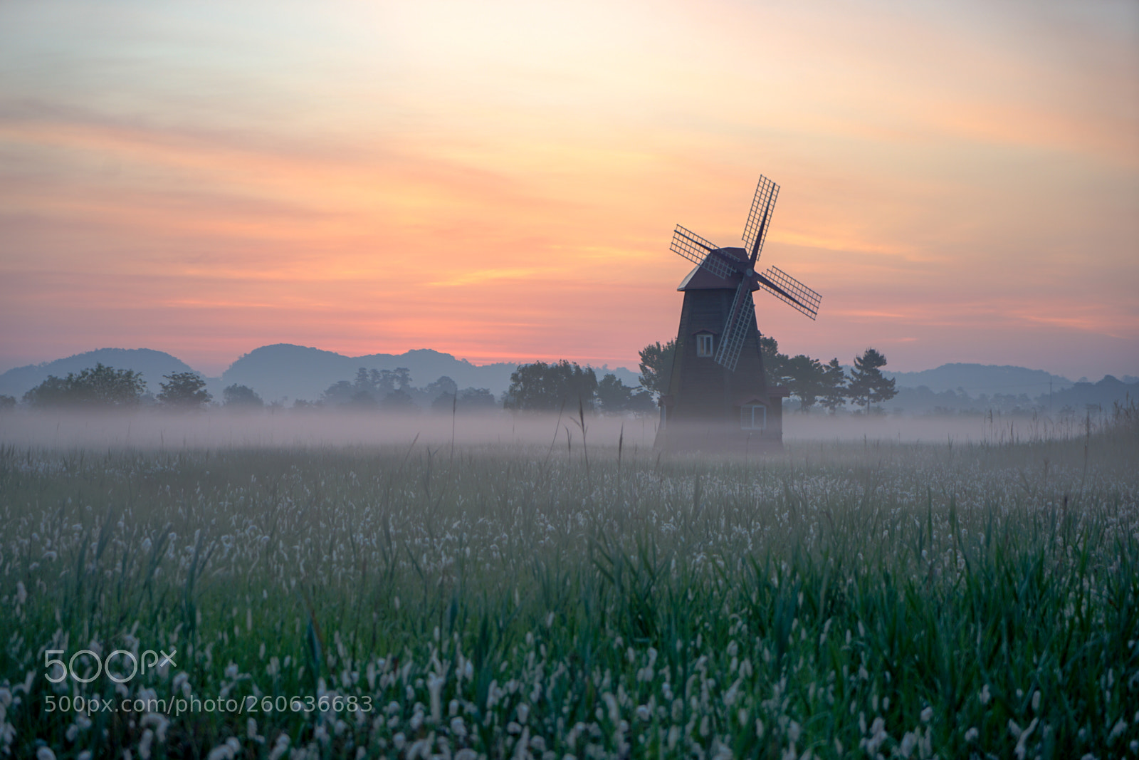 Sony a7 II sample photo. Dsc photography