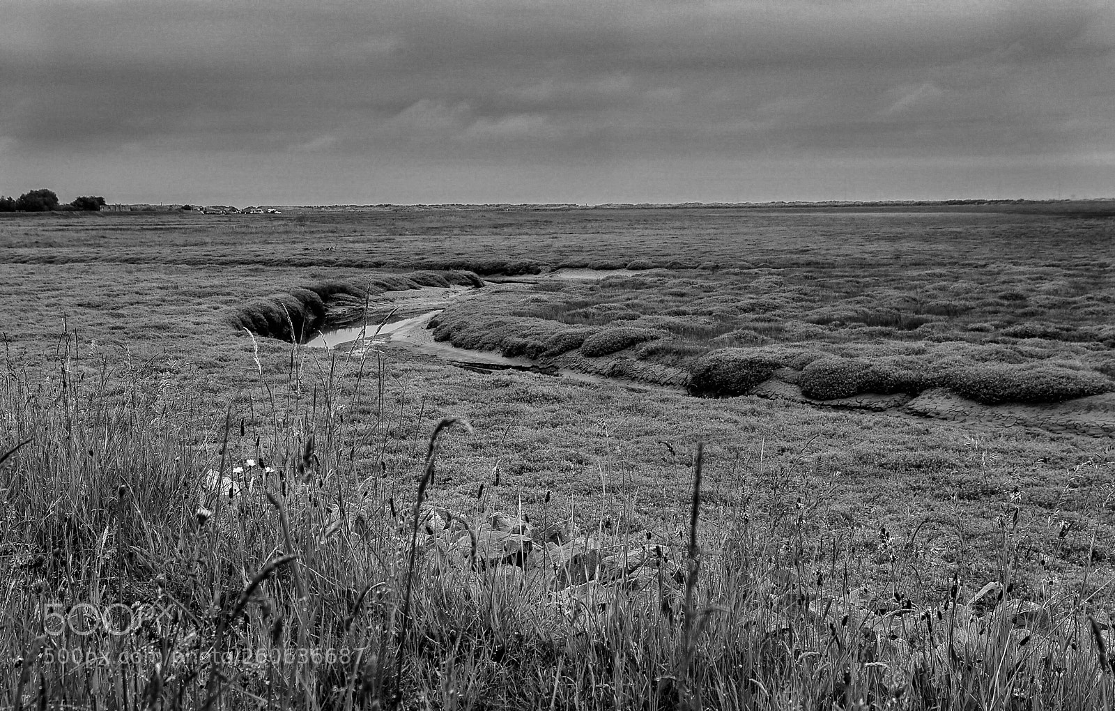 Nikon D7200 sample photo. Marshlands photography