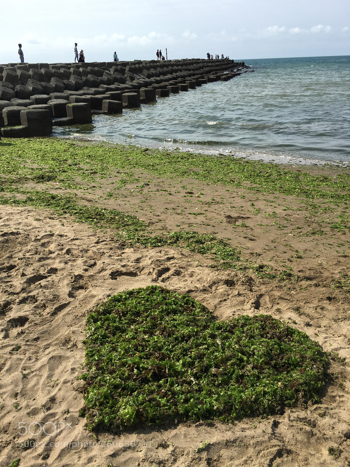 Apple iPhone 6s Plus sample photo. Green heart photography