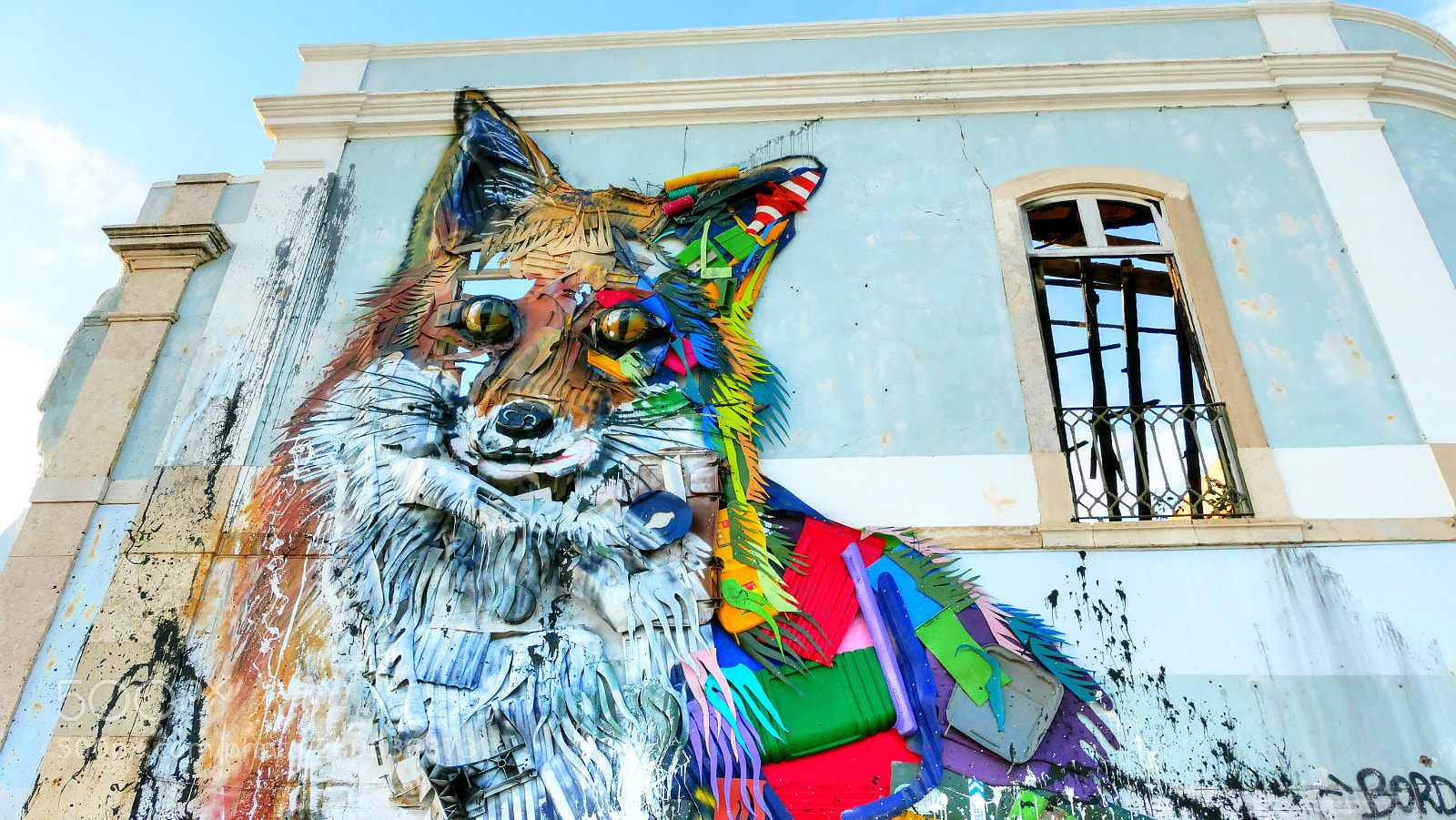 Panasonic Lumix DMC-FZ1000 sample photo. Fox - by bordalo photography