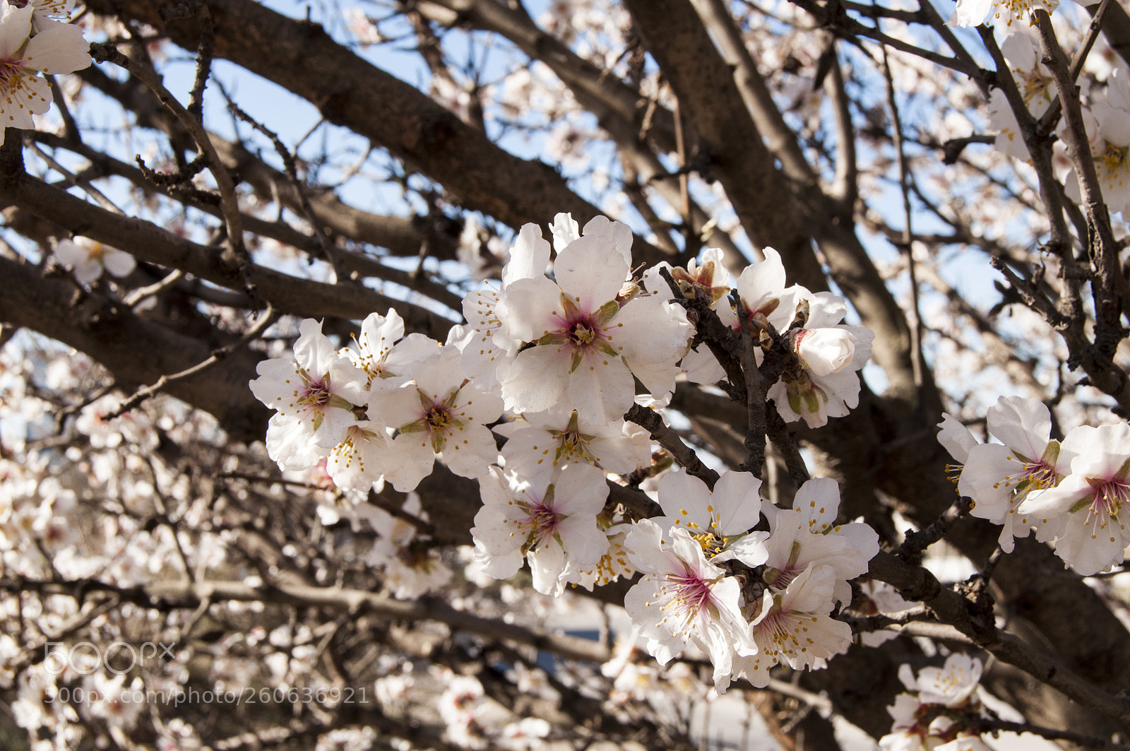 Nikon D90 sample photo. . photography