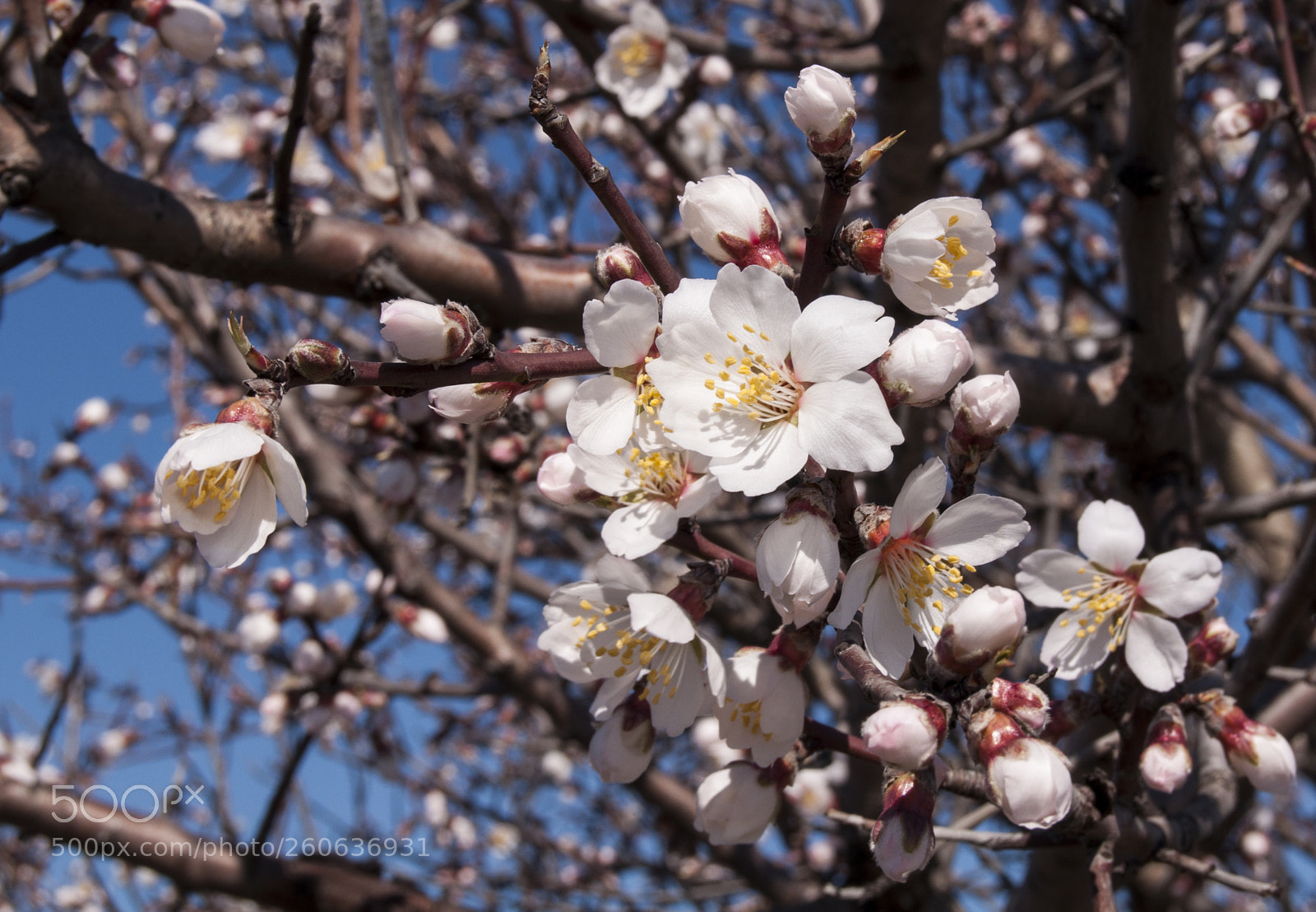 Nikon D90 sample photo. . photography