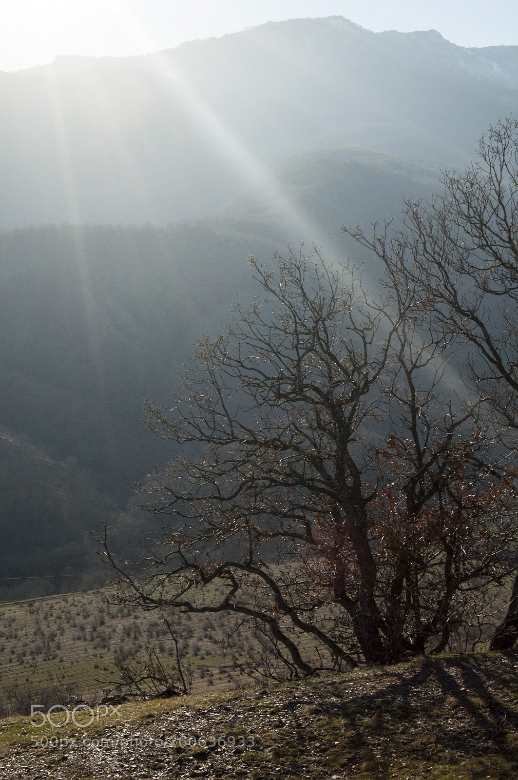Nikon D90 sample photo. . photography
