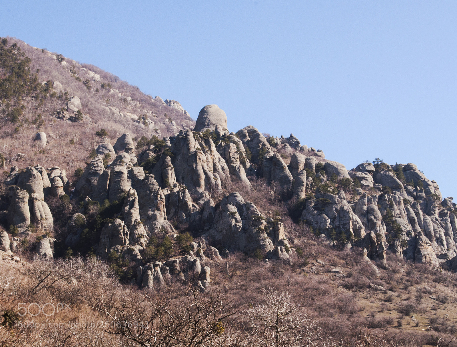 Nikon D90 sample photo. . photography