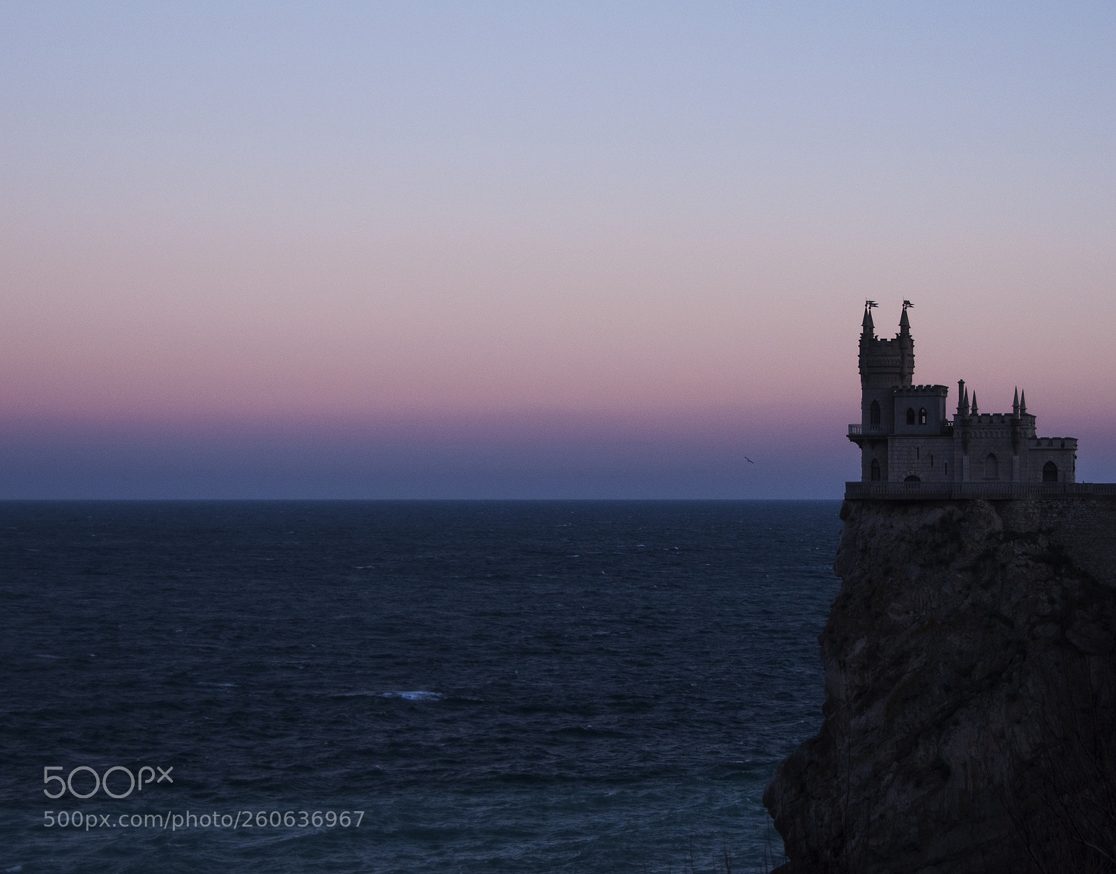 Nikon D90 sample photo. Swallow's nest photography
