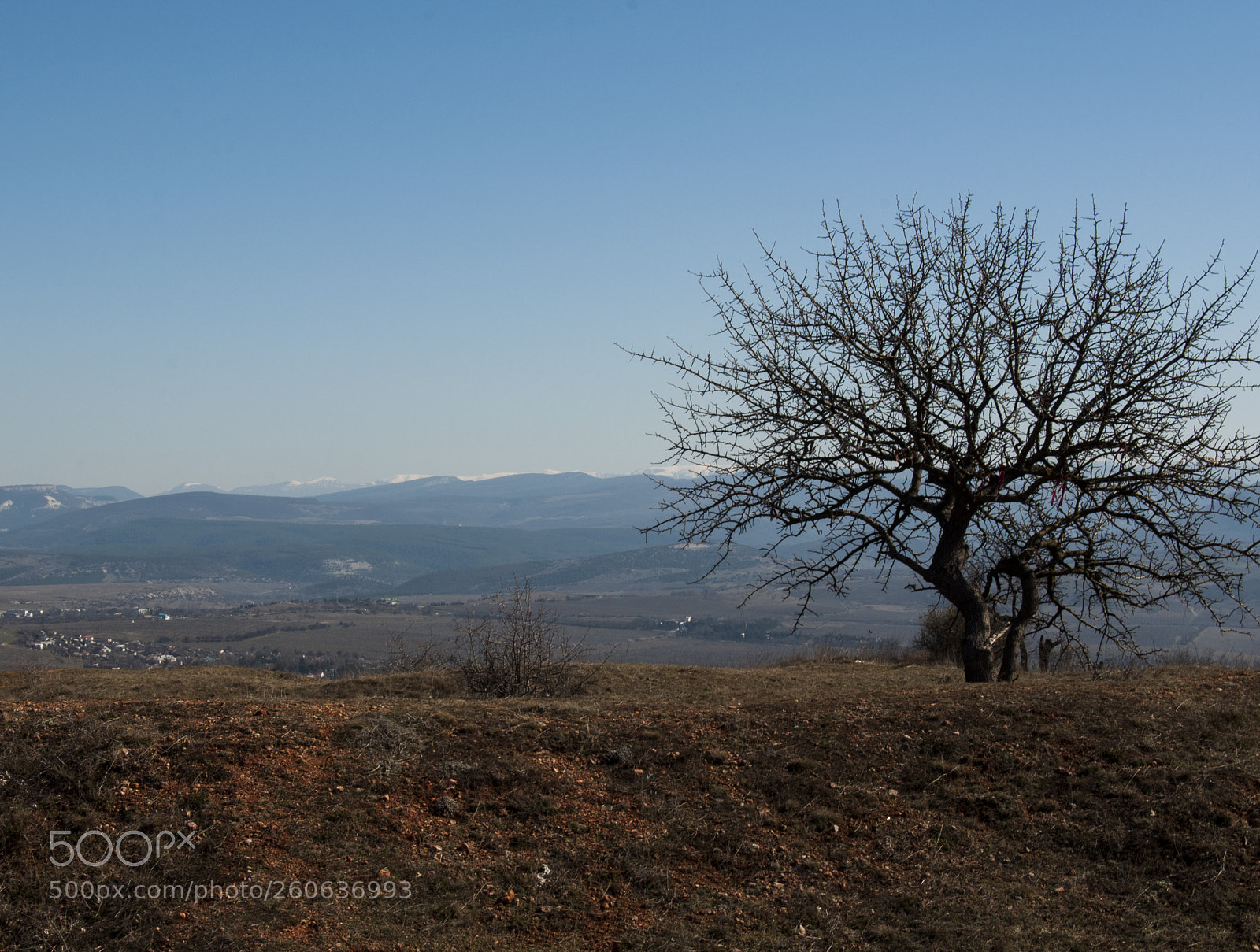 Nikon D90 sample photo. . photography
