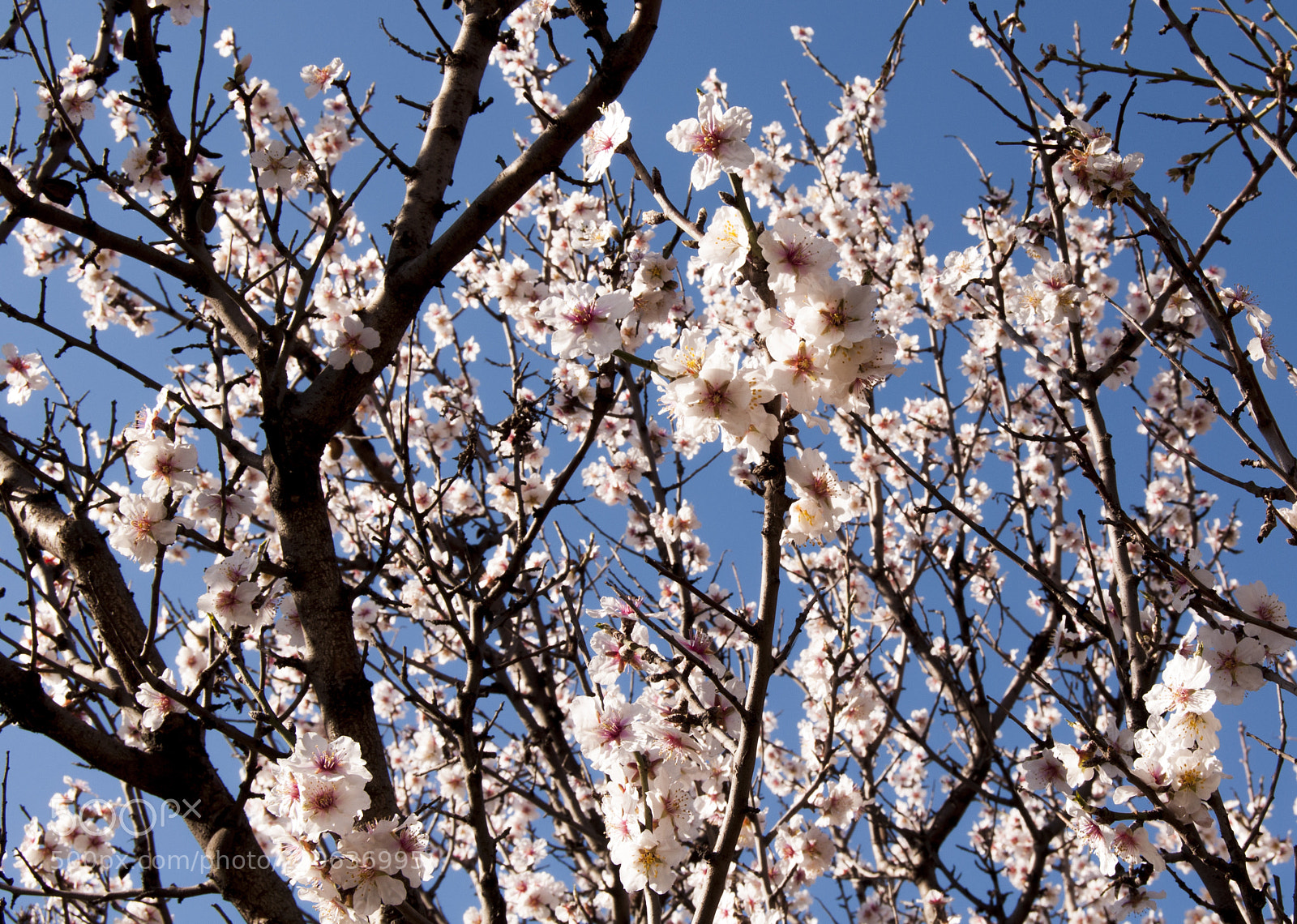 Nikon D90 sample photo. . photography