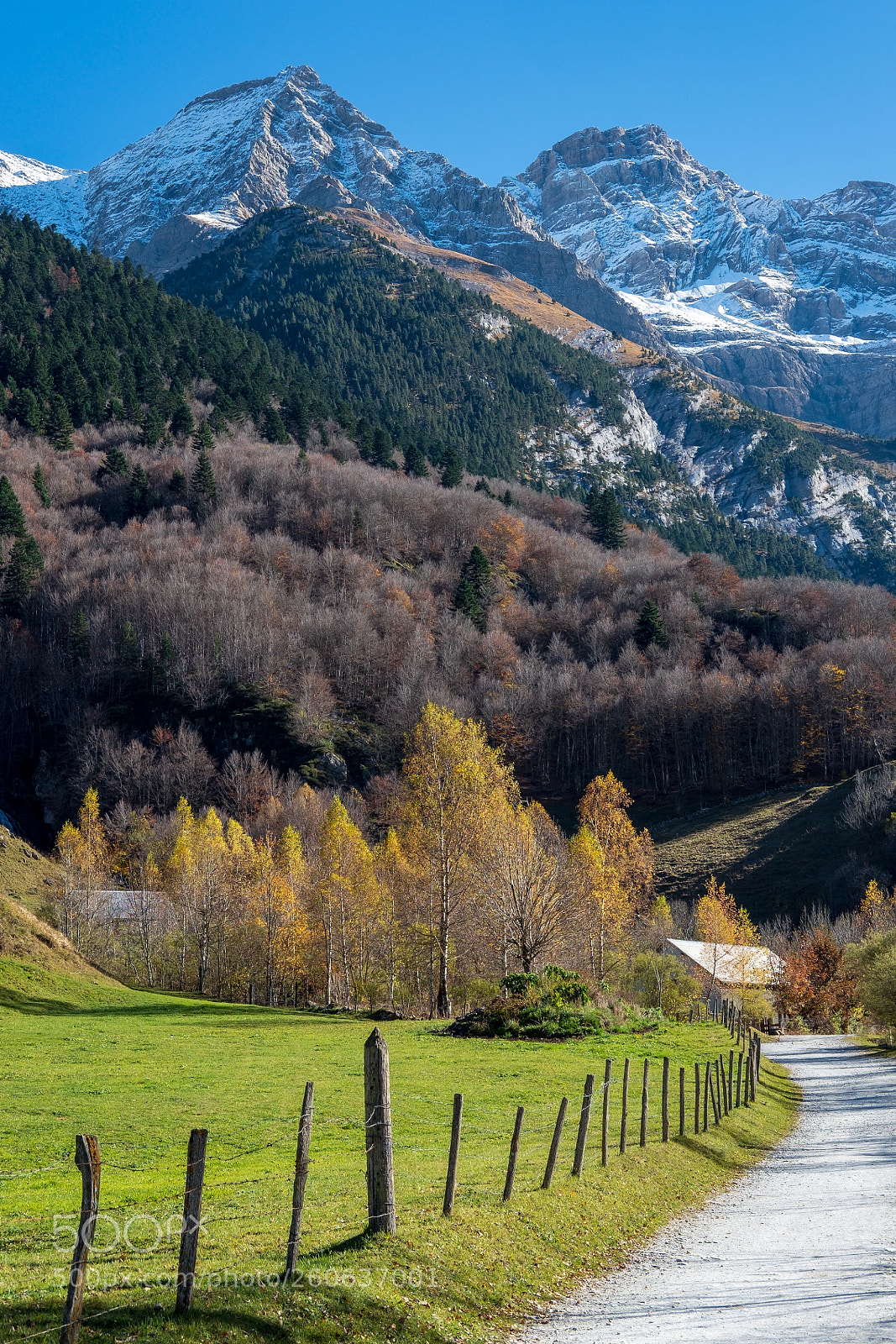 Fujifilm X-T2 sample photo. Path, pasture and mountains photography