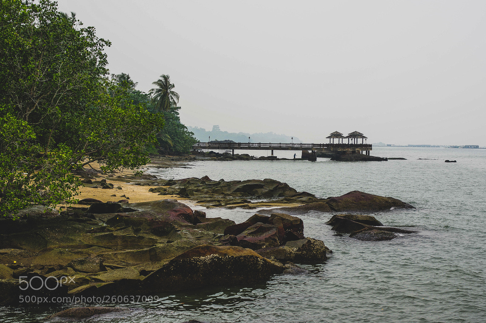 Pentax K-3 sample photo. Singapore, pulau ubin photography