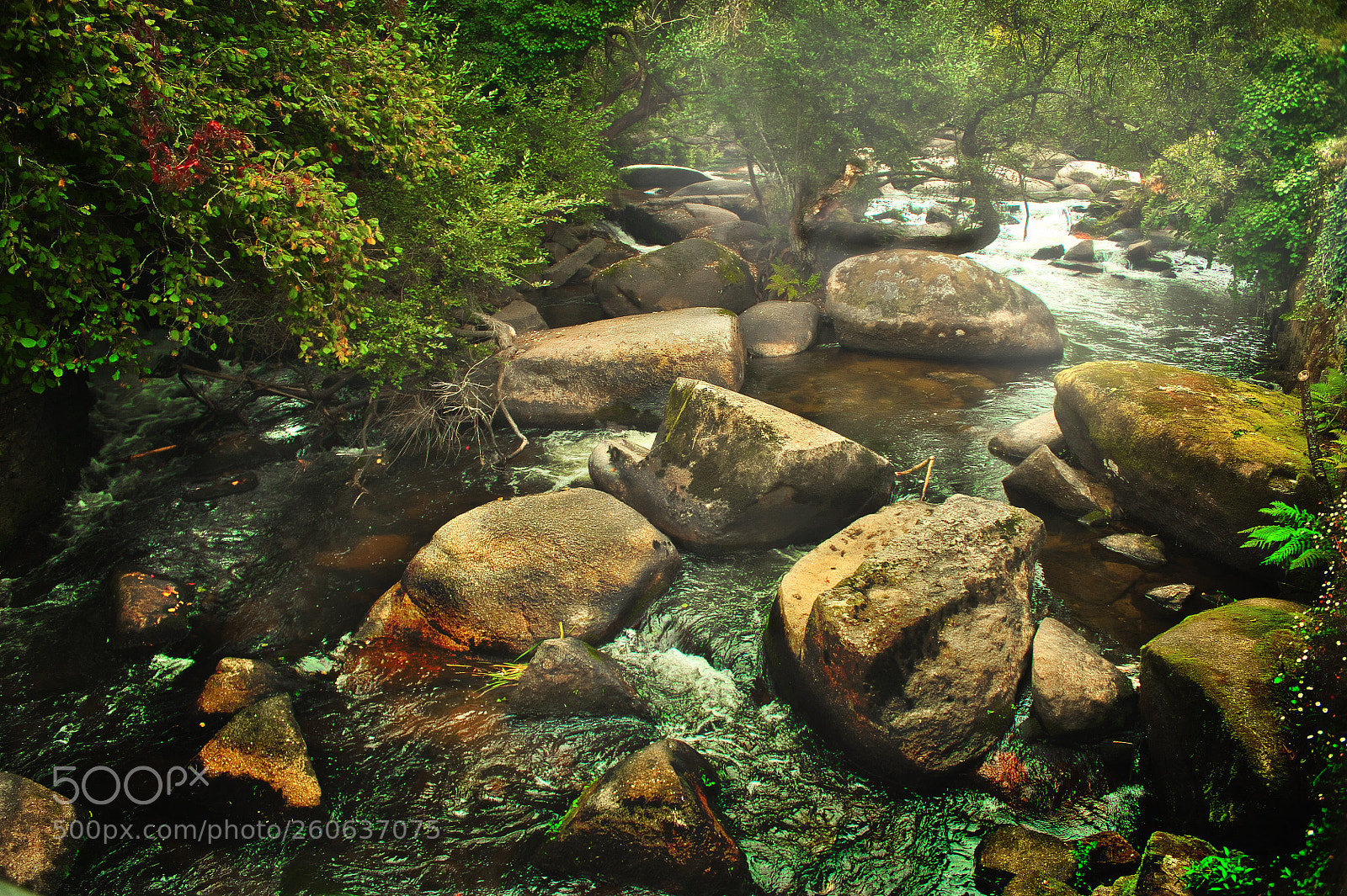 Nikon D700 sample photo. Boulder creek photography