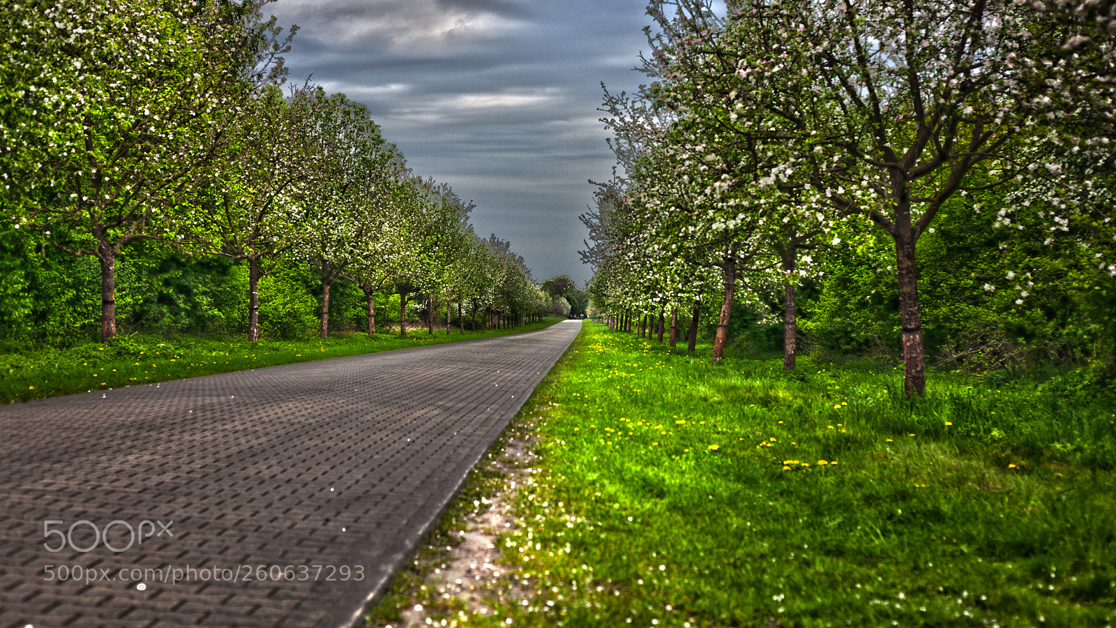 Canon EOS 5D Mark II sample photo. Unbenannt hdr photography