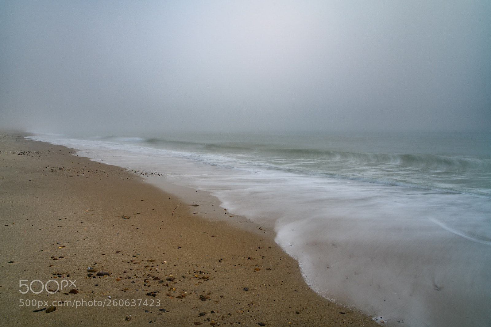 Nikon D850 sample photo. Foggy morning at the photography