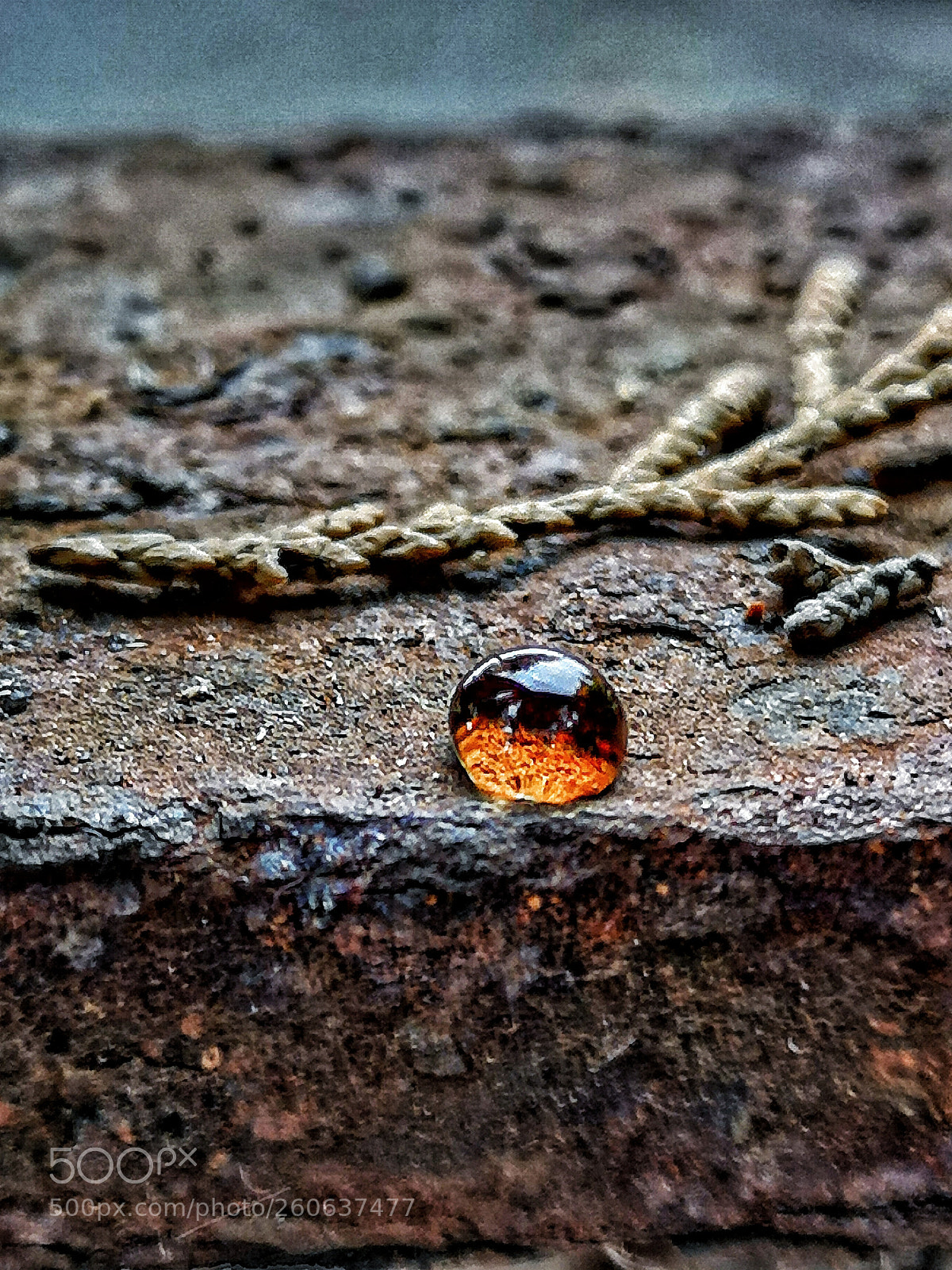 HUAWEI CLT-L09 sample photo. Untitled photography