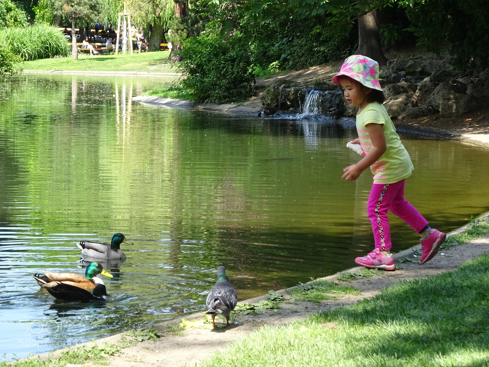 Sony Cyber-shot DSC-WX350 sample photo. Little girl feeding the photography
