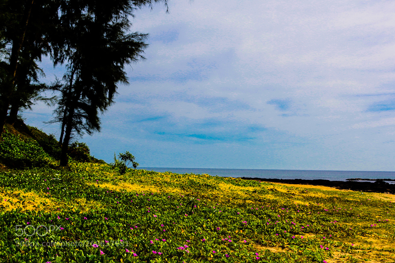 Canon EOS 70D sample photo. Untitled photography