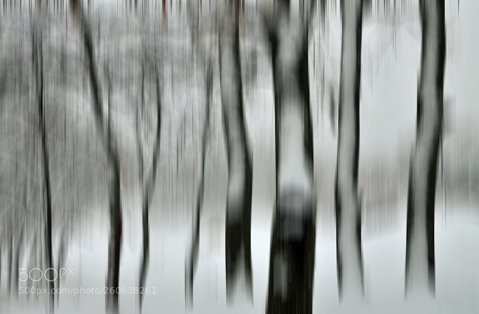 Nikon D7000 sample photo. Misty winter photography