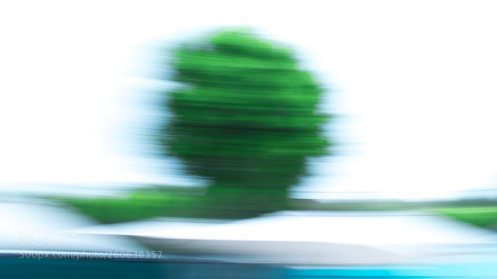 Nikon D7100 sample photo. Untitled photography