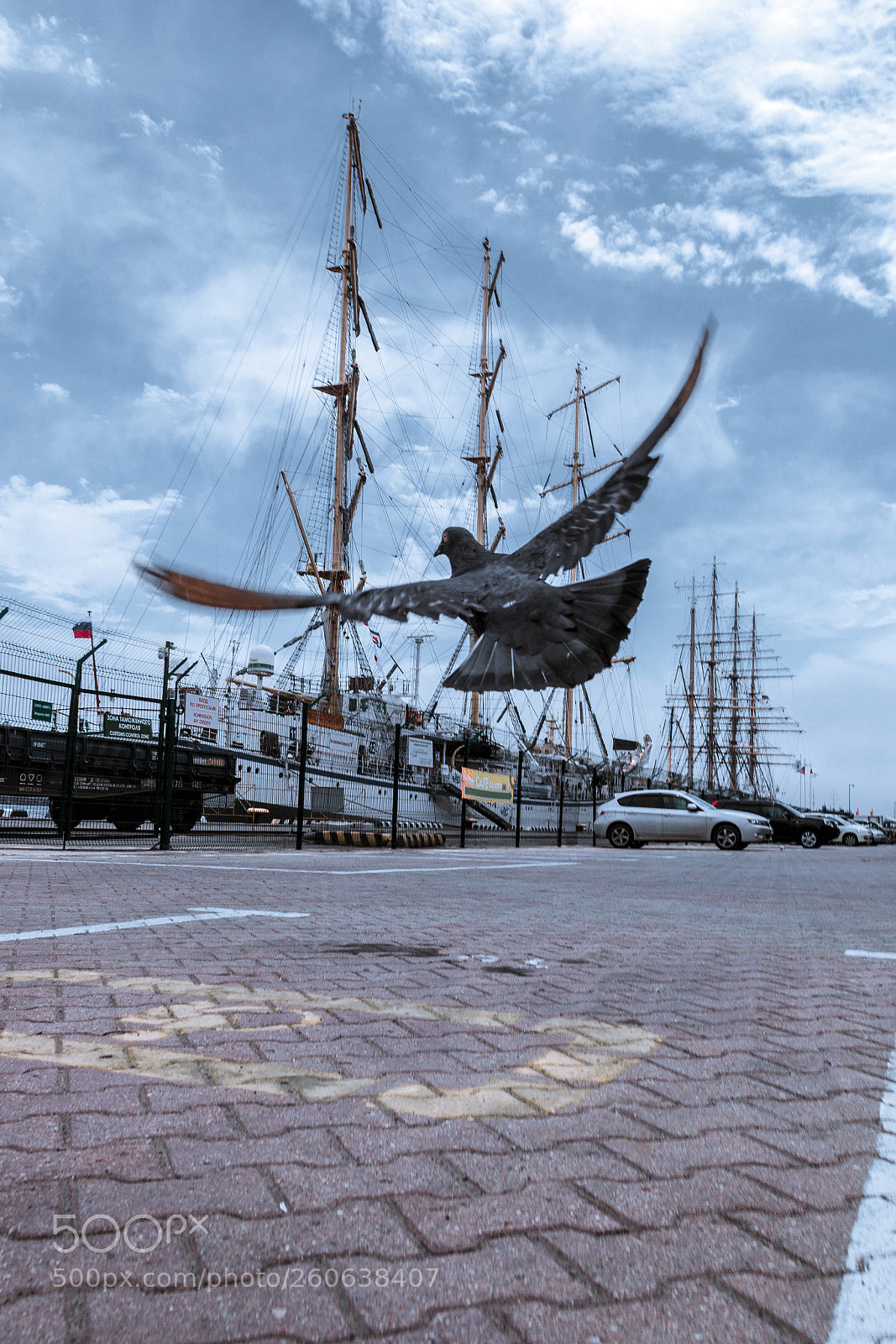 Canon EOS 70D sample photo. Fly away photography