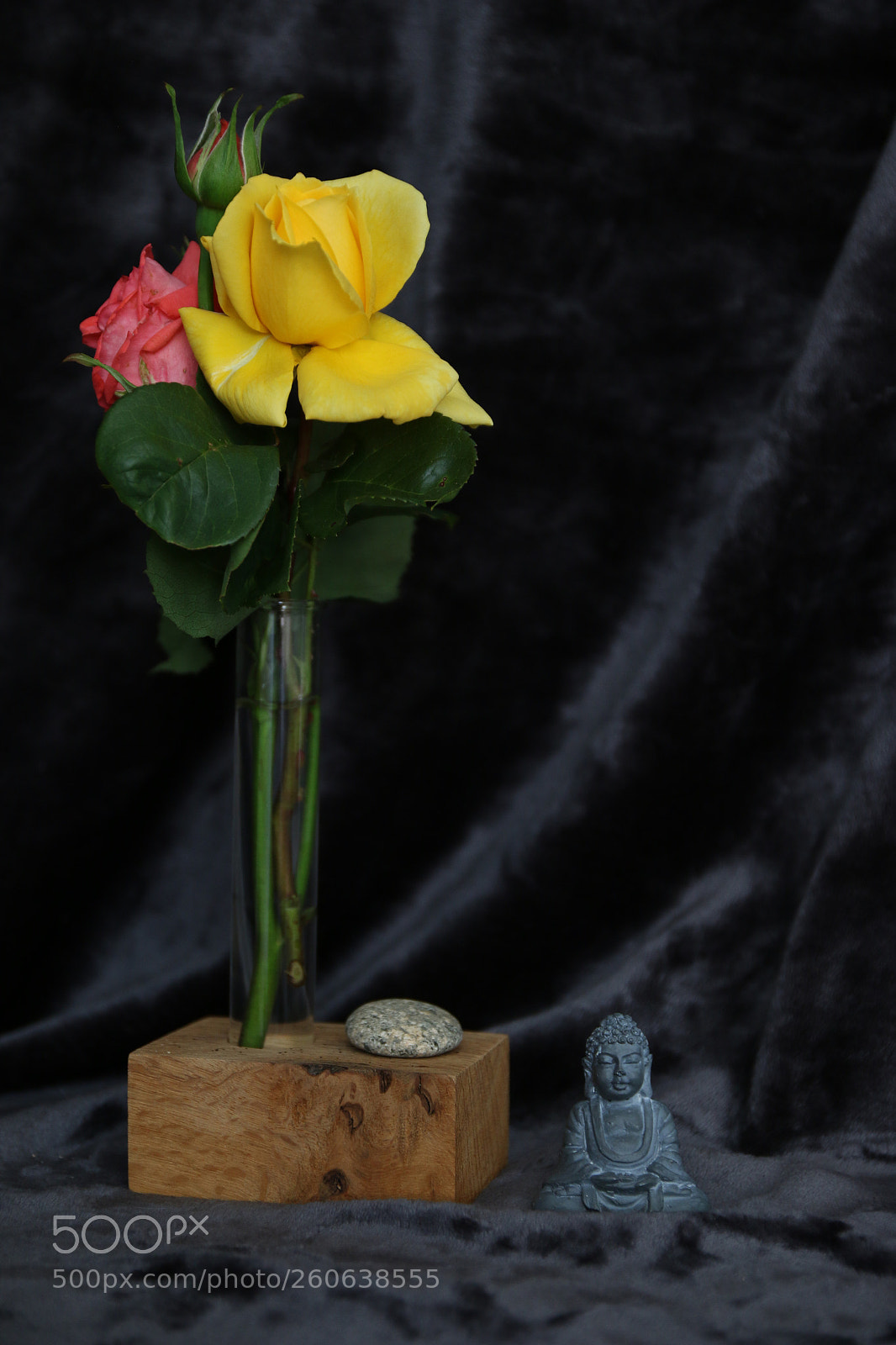 Canon EOS 70D sample photo. Roses et bouddha! photography