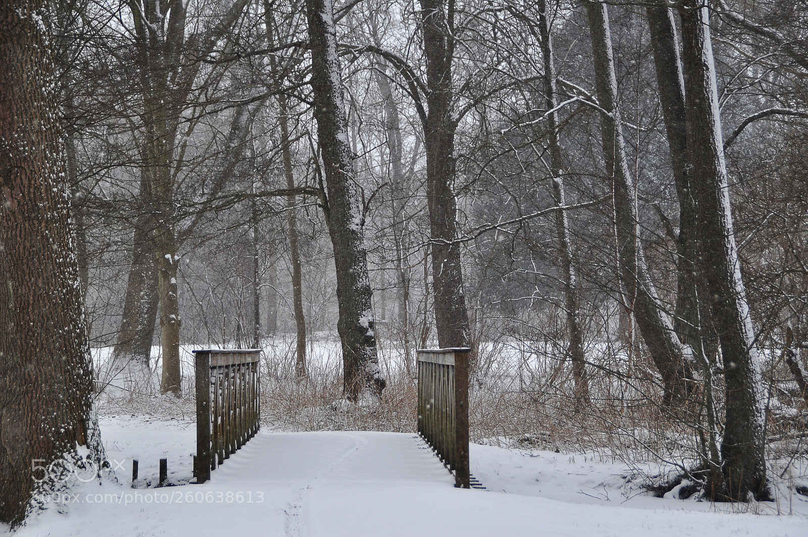 Nikon D5000 sample photo. Snowy bridge photography