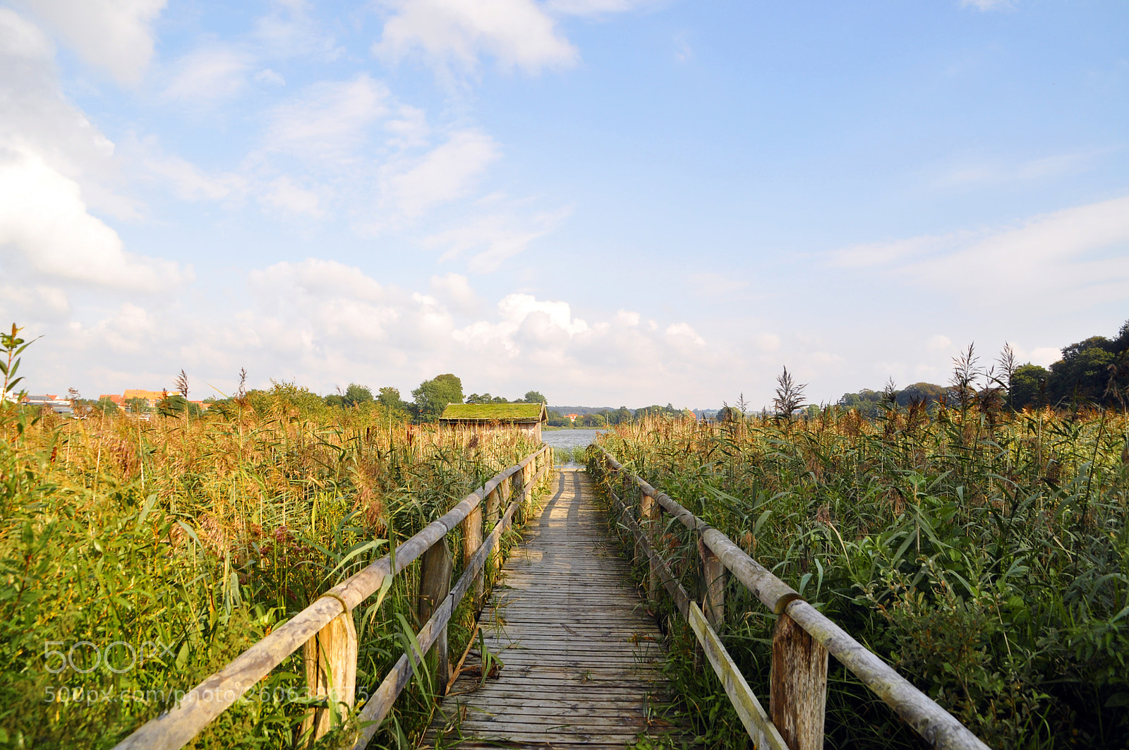 Nikon D5000 sample photo. Sunset bridge photography