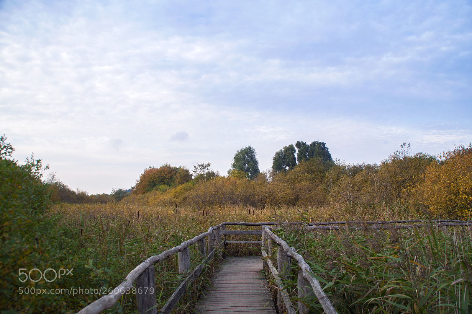 Nikon D5000 sample photo. Wooden walkway photography