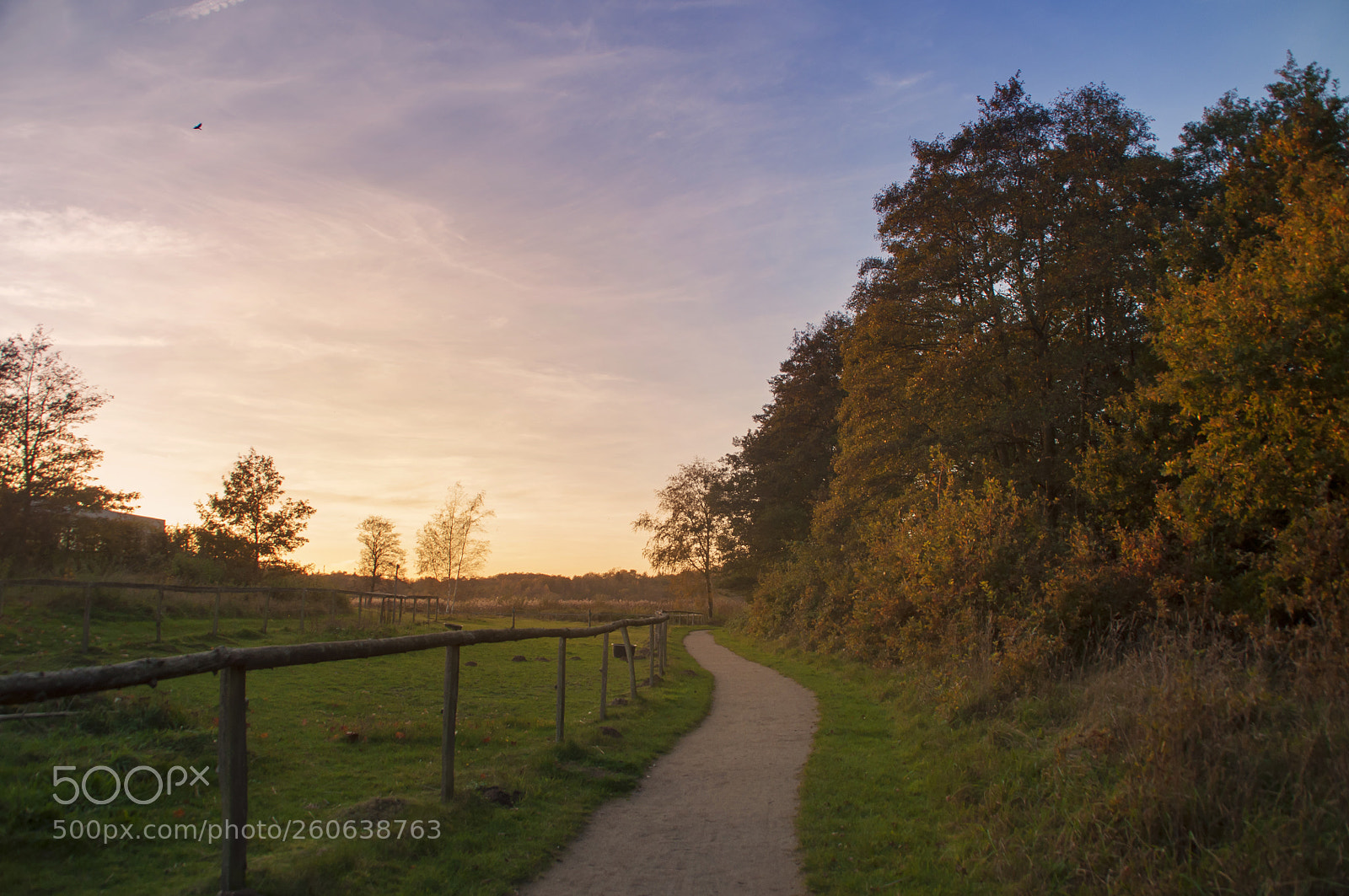 Nikon D5000 sample photo. Path at sunset photography