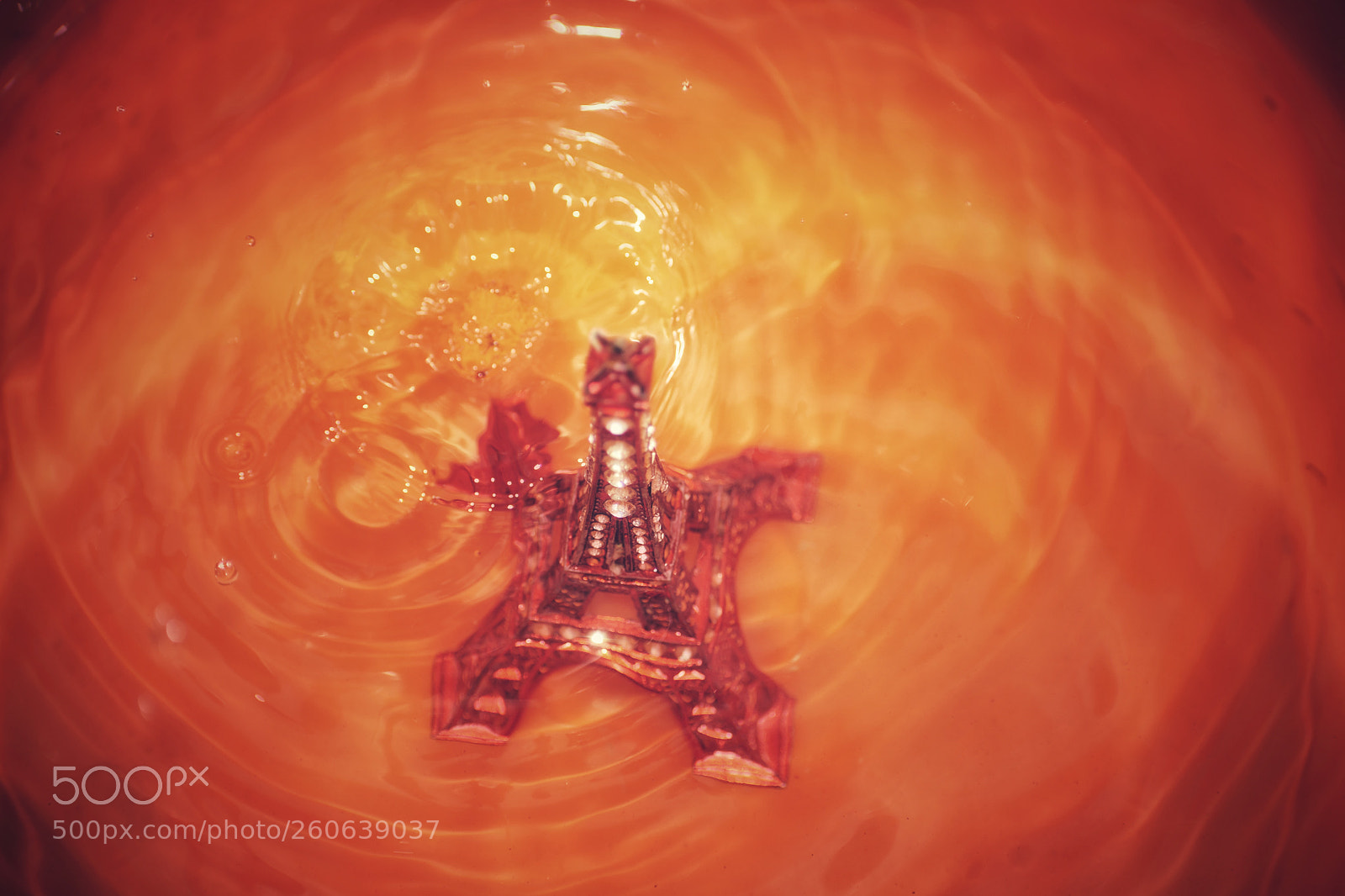 Nikon D3400 sample photo. Eiffel tower in water photography