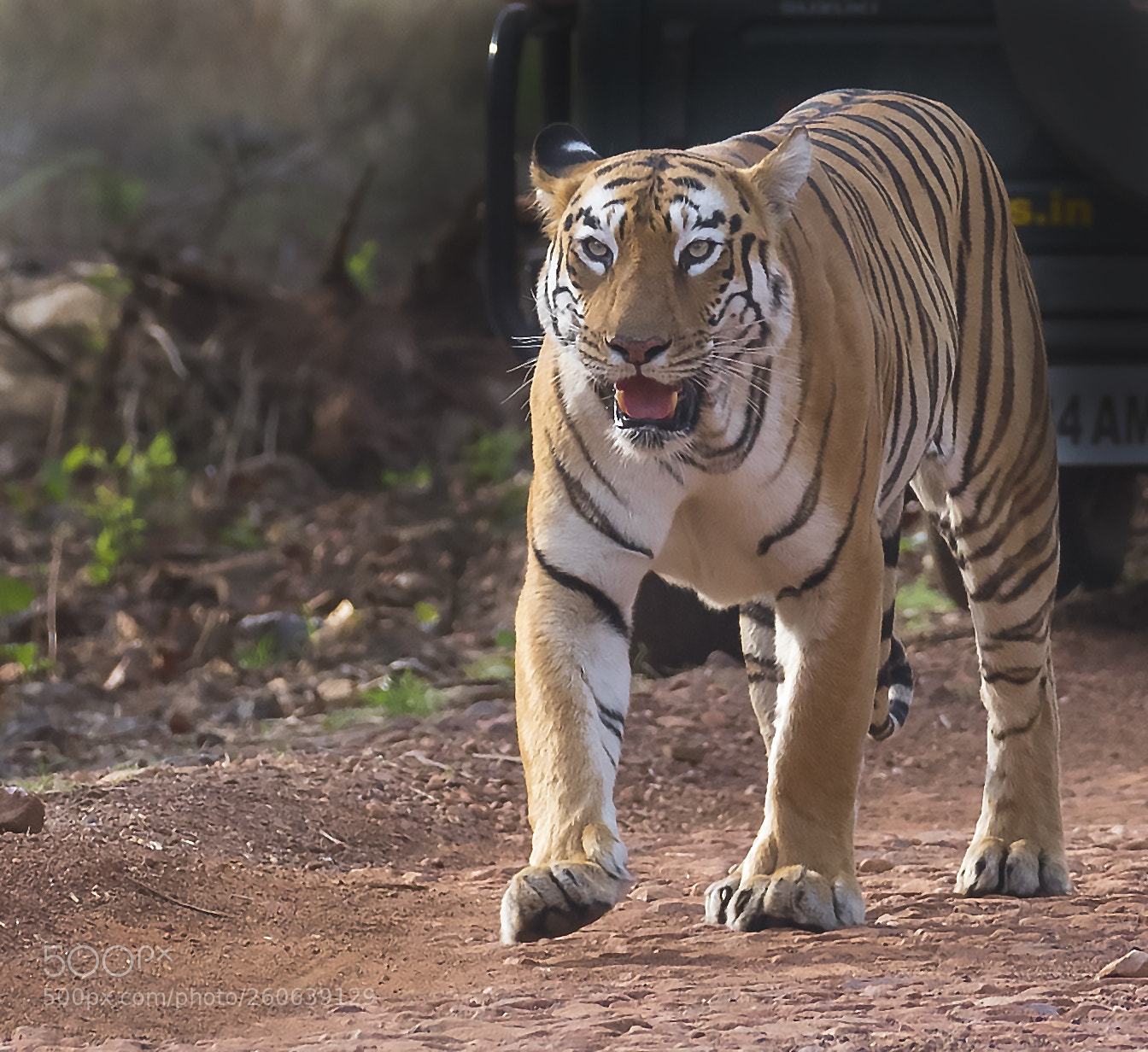 Nikon D750 sample photo. _dsc1157-2.jpg photography