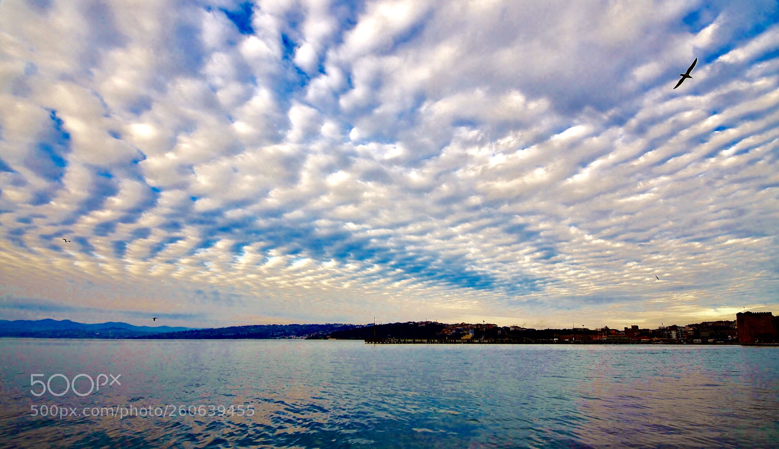 Nikon D7000 sample photo. Beautiful cloudy morning photography