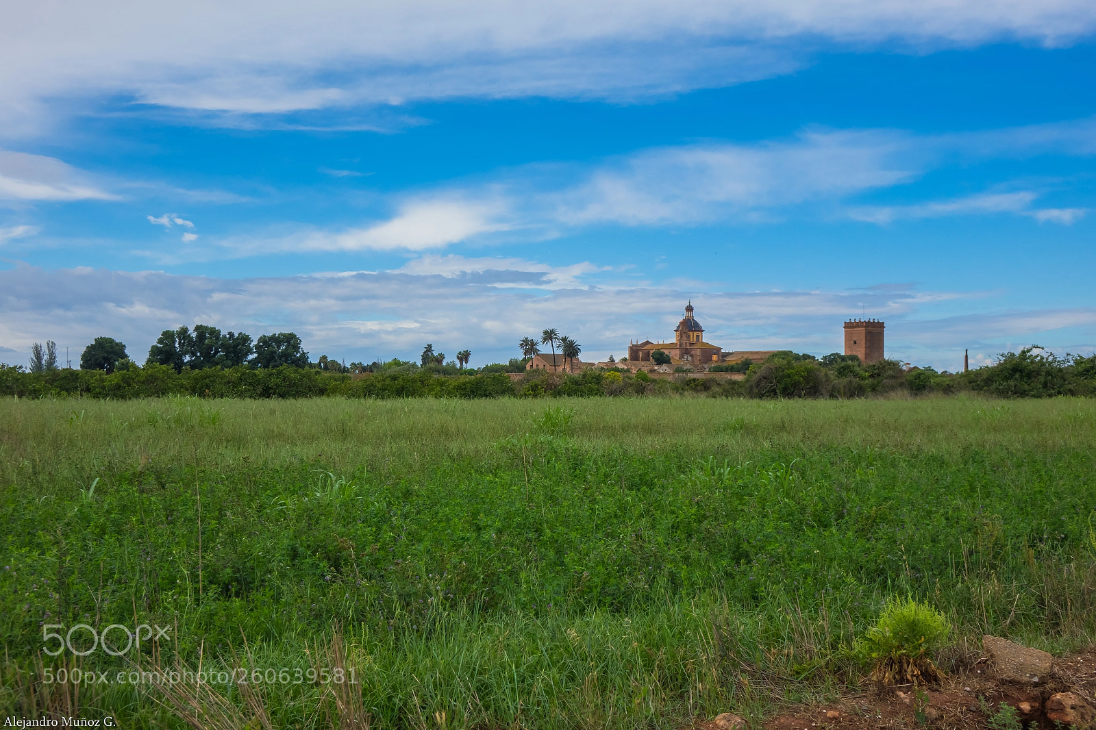 Sony Cyber-shot DSC-RX10 sample photo. Cartuja de ara christi photography