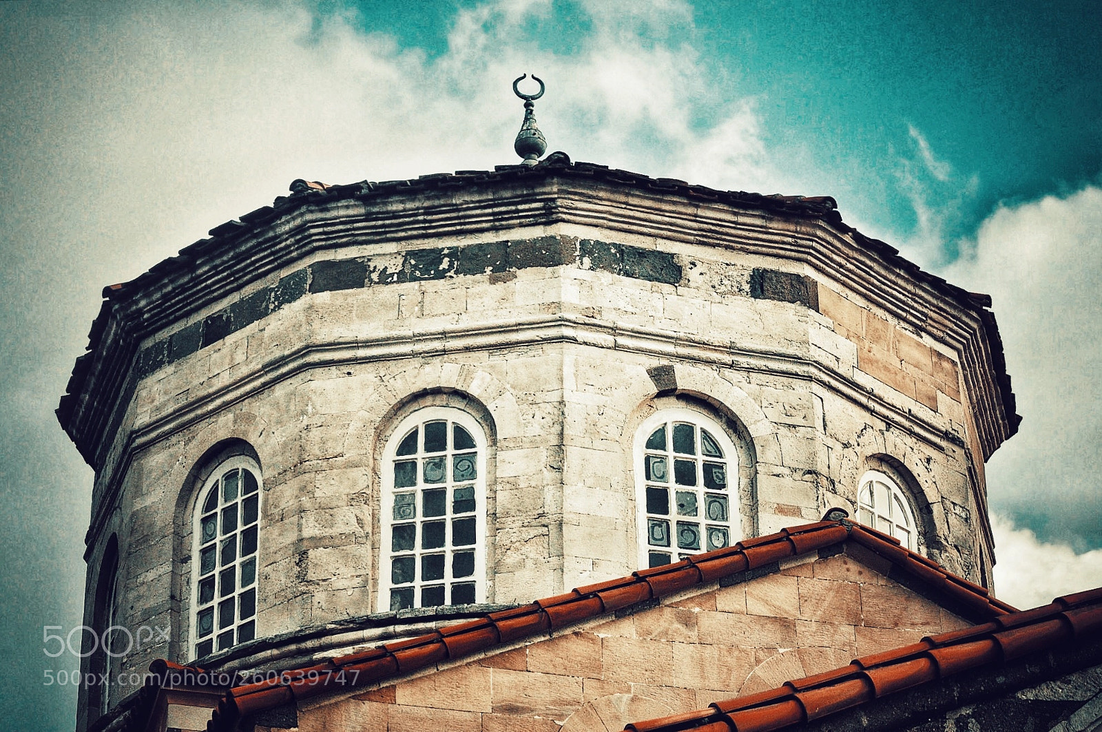 Nikon D5000 sample photo. Untitled photography