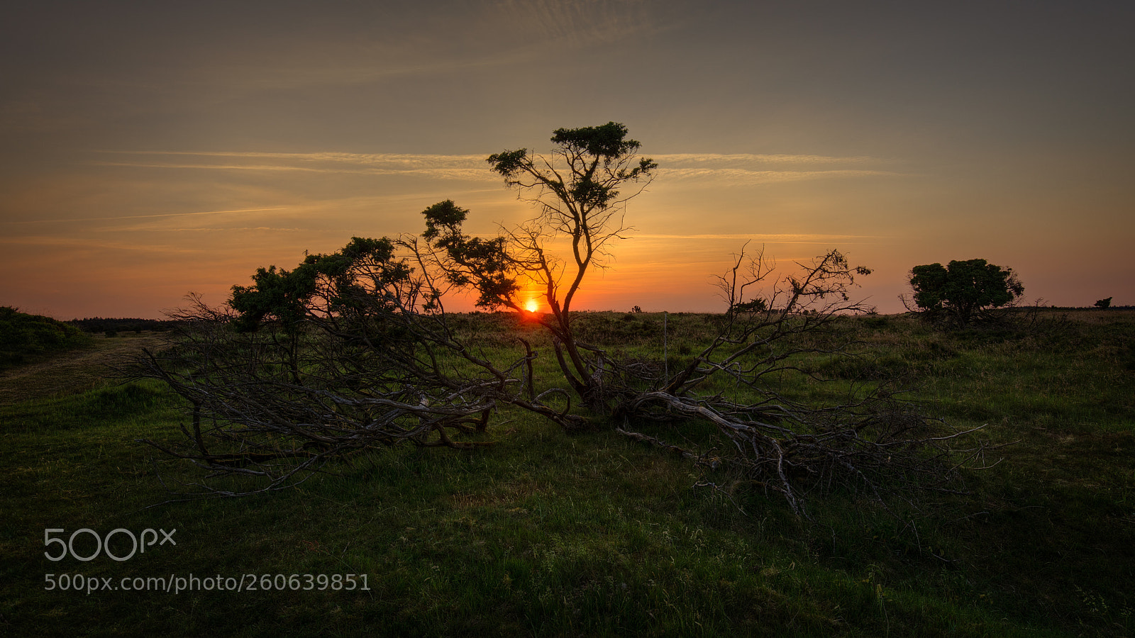 Canon EOS 5D Mark IV sample photo. Sunset at stanghede photography