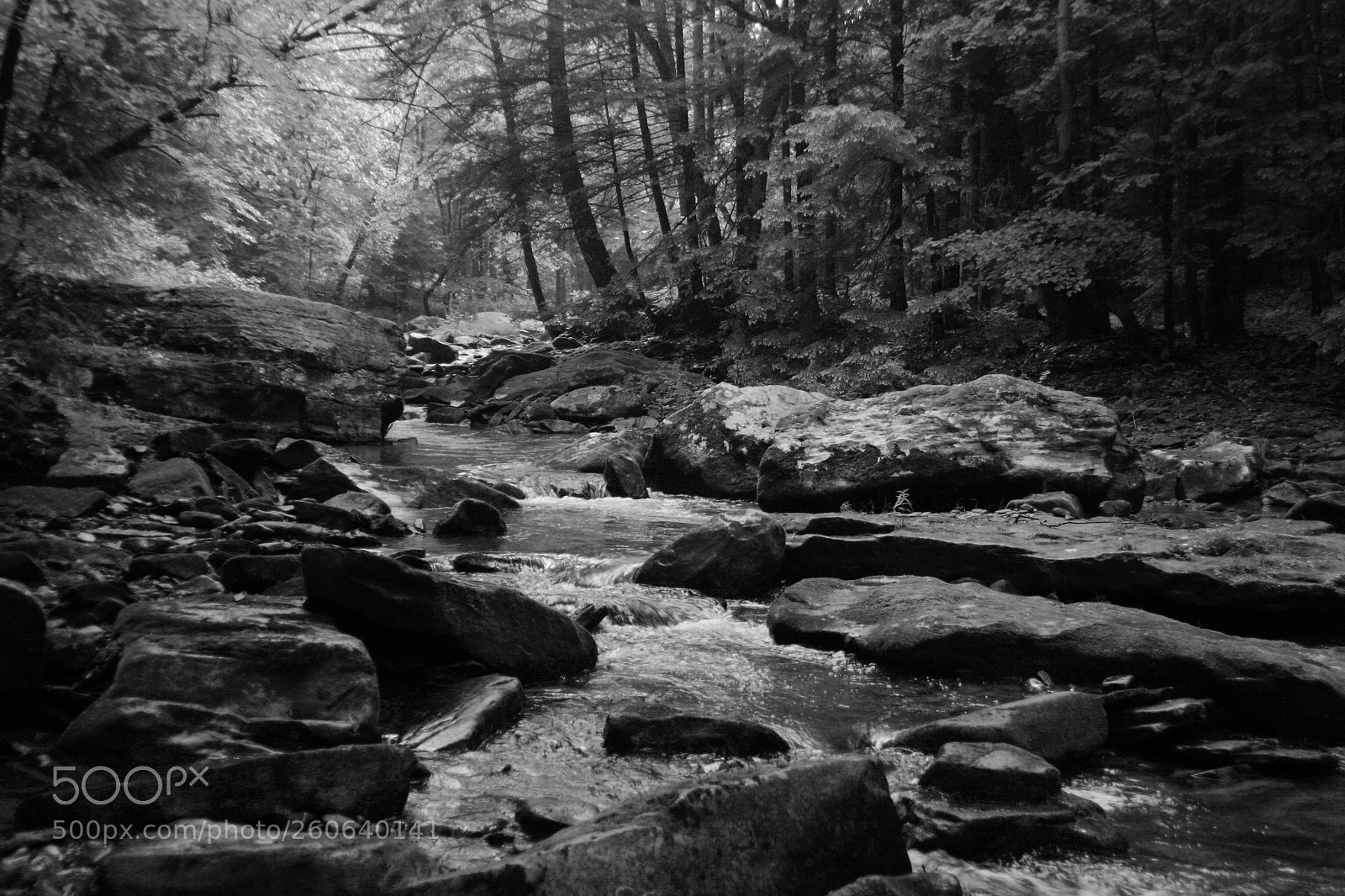 Canon EOS 300D (EOS Digital Rebel / EOS Kiss Digital) sample photo. Off the beaten trail photography