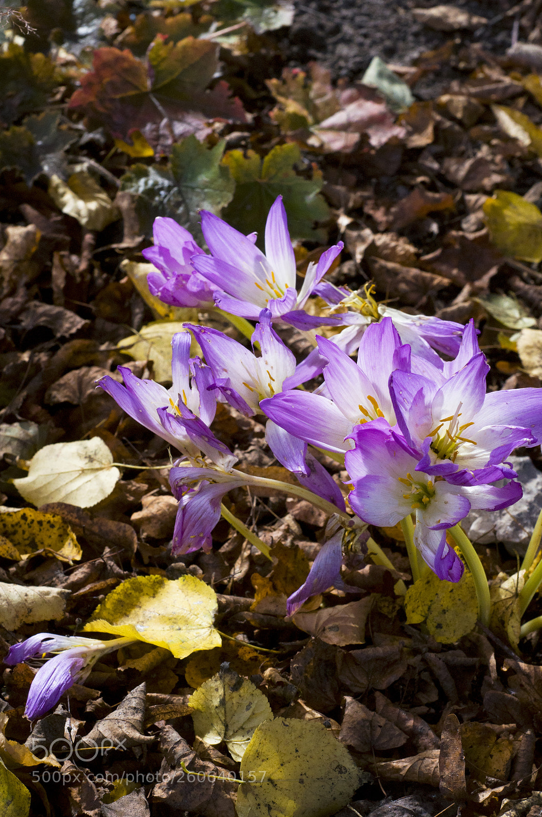 Nikon D90 sample photo. . photography