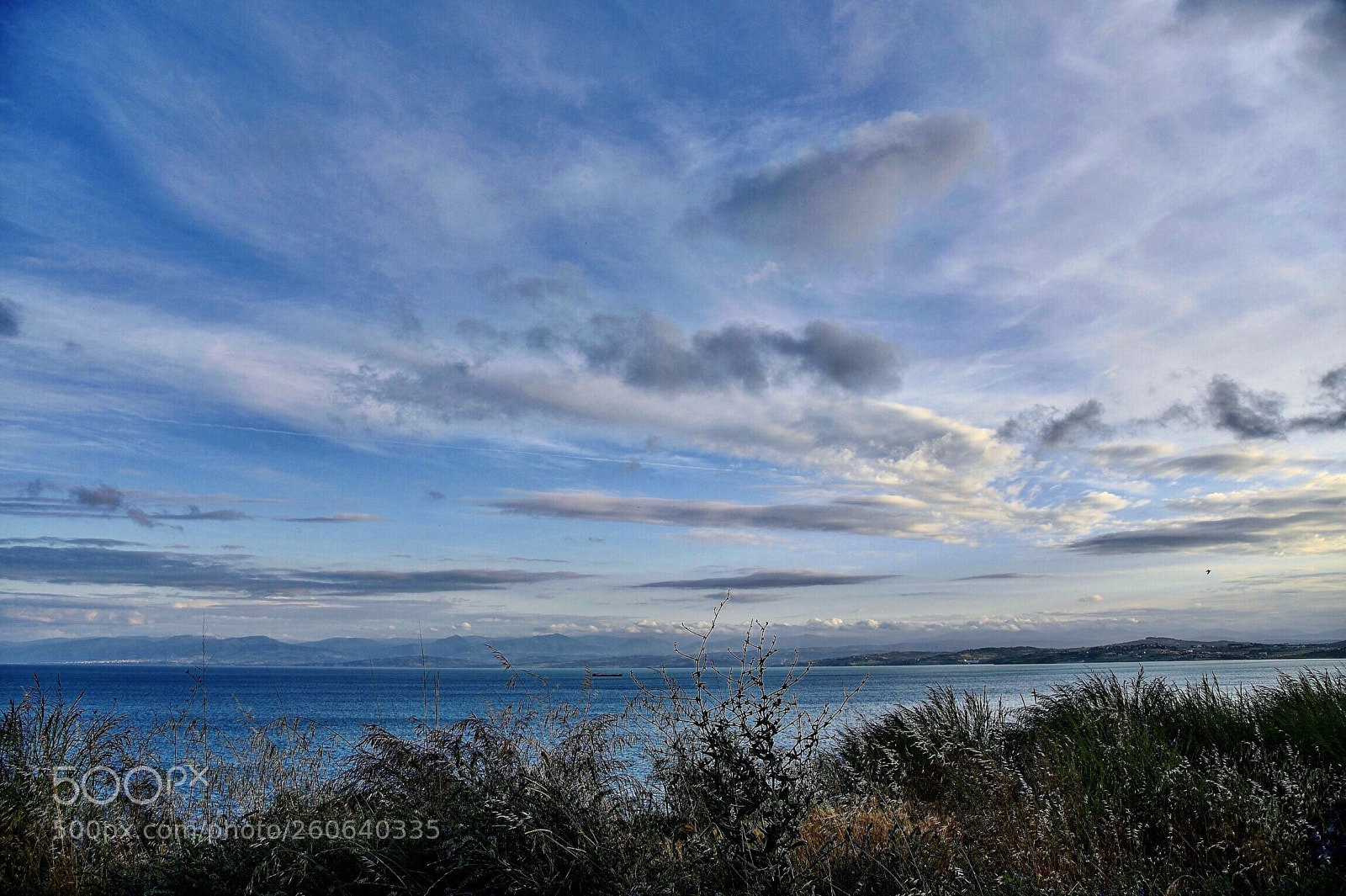 Nikon D750 sample photo. Blue-blue photography
