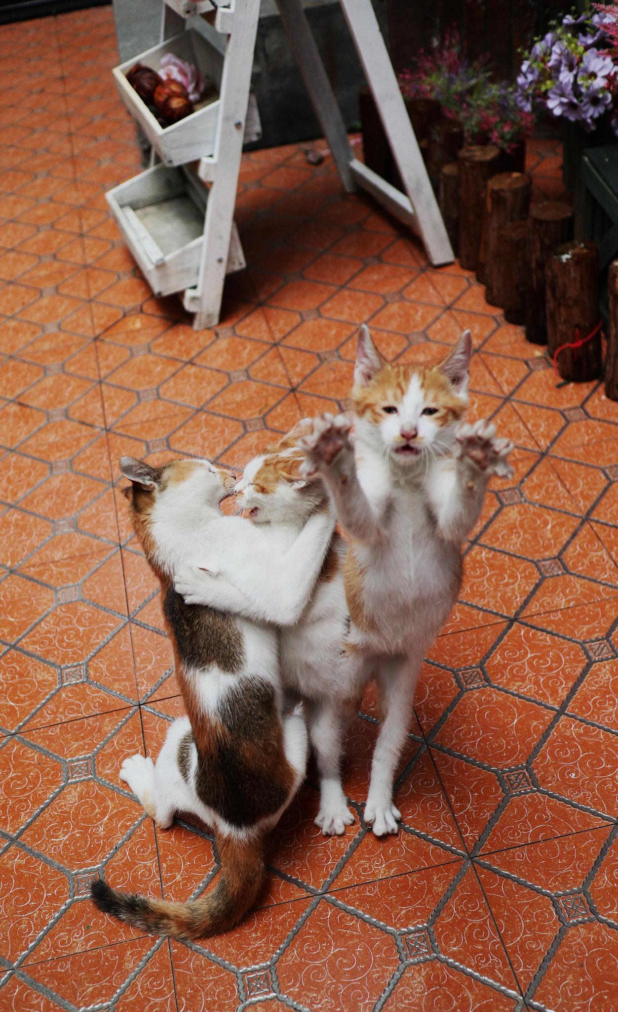 Canon EOS M100 sample photo. Img photography