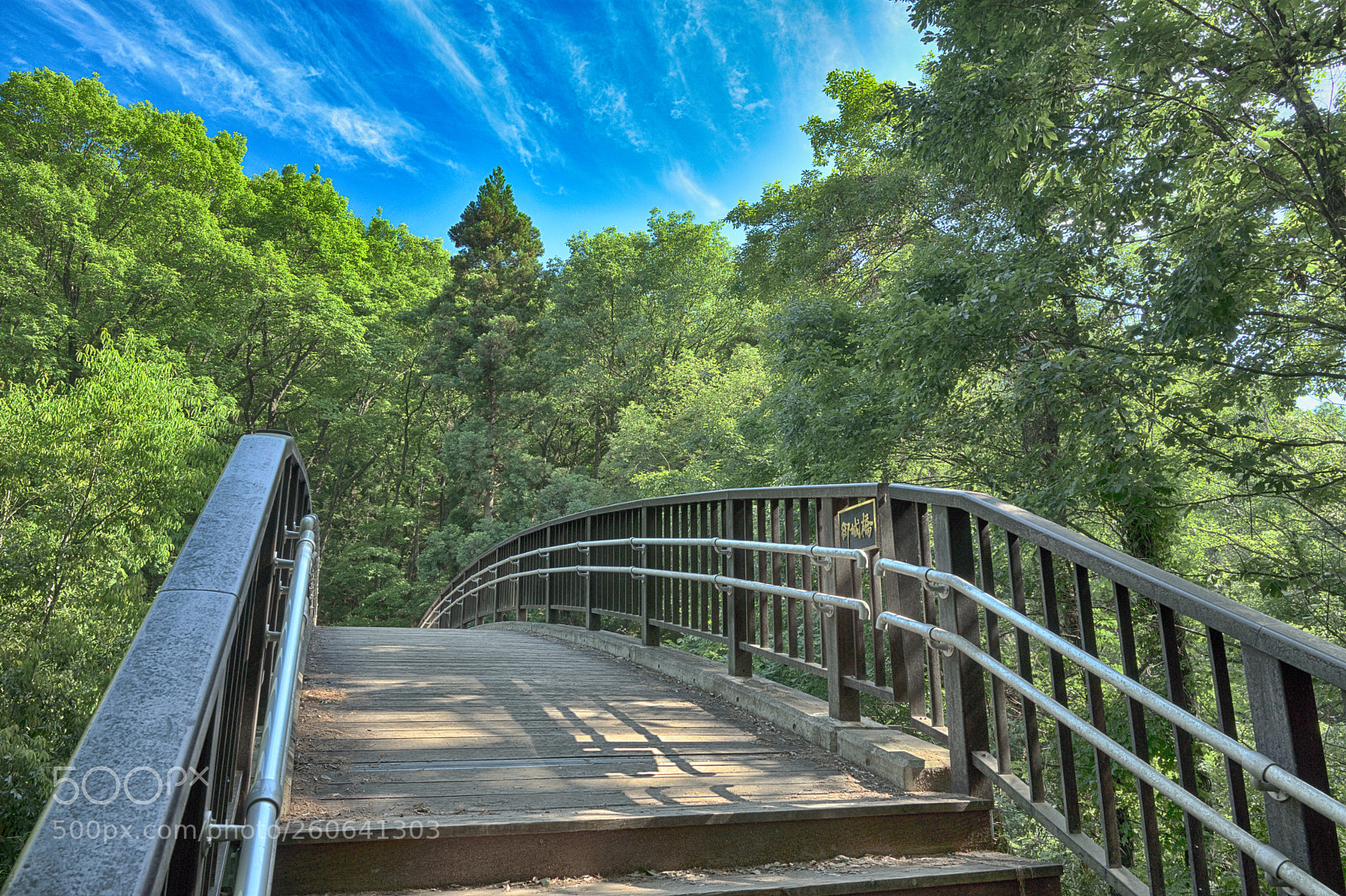 Nikon D7200 sample photo. Bridge in the forest photography