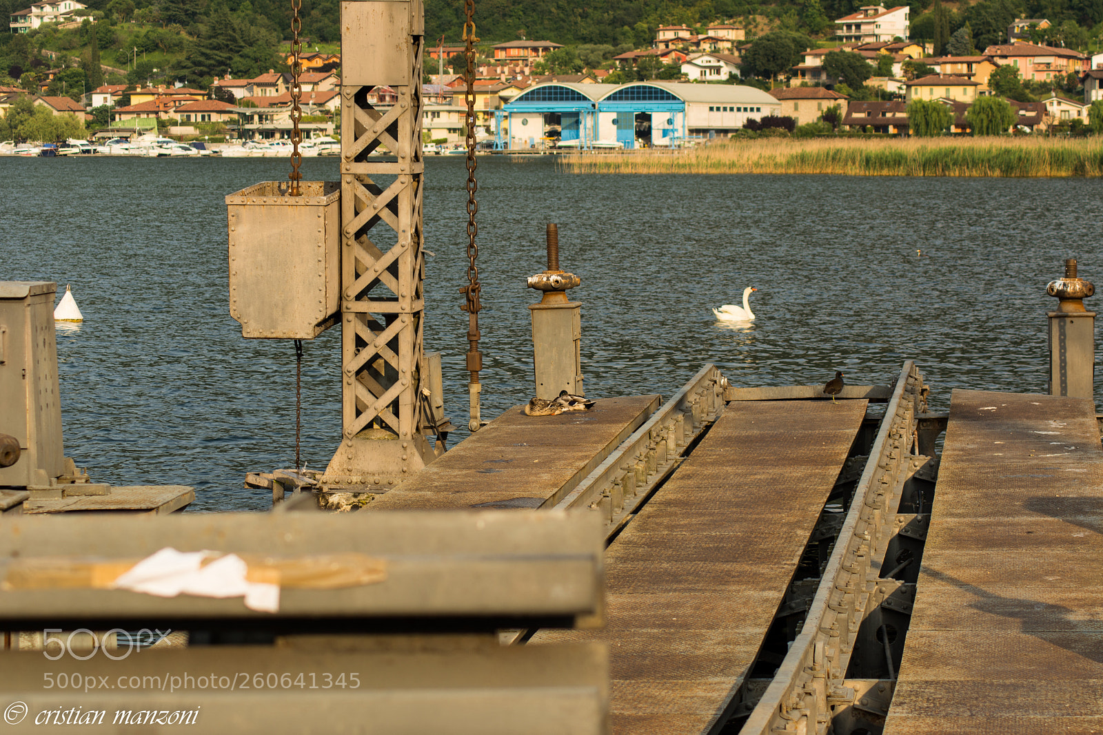 Nikon D5200 sample photo. Untitled photography