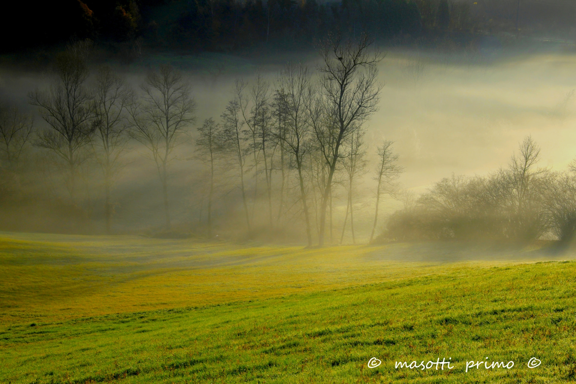 Canon EF-S 17-85mm F4-5.6 IS USM sample photo. Alba zocca (modena) dvd photography