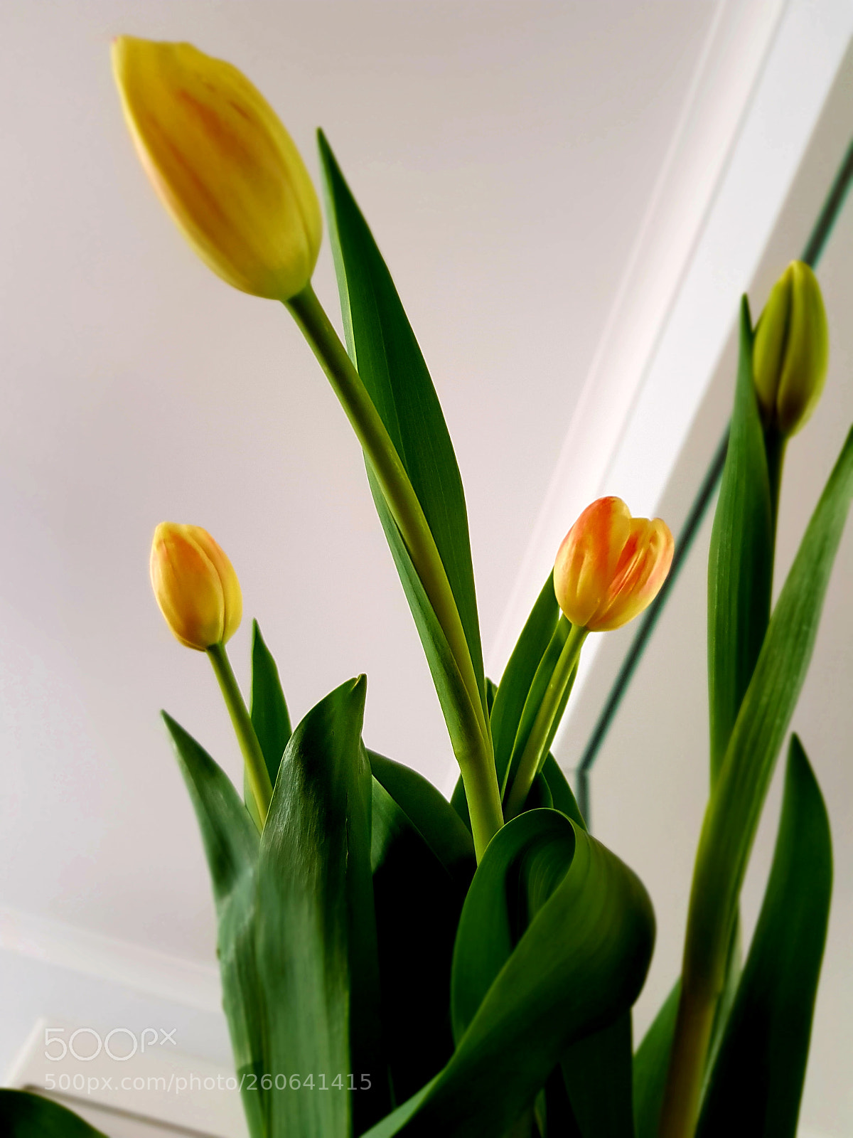Samsung Galaxy S8 sample photo. Untitled photography