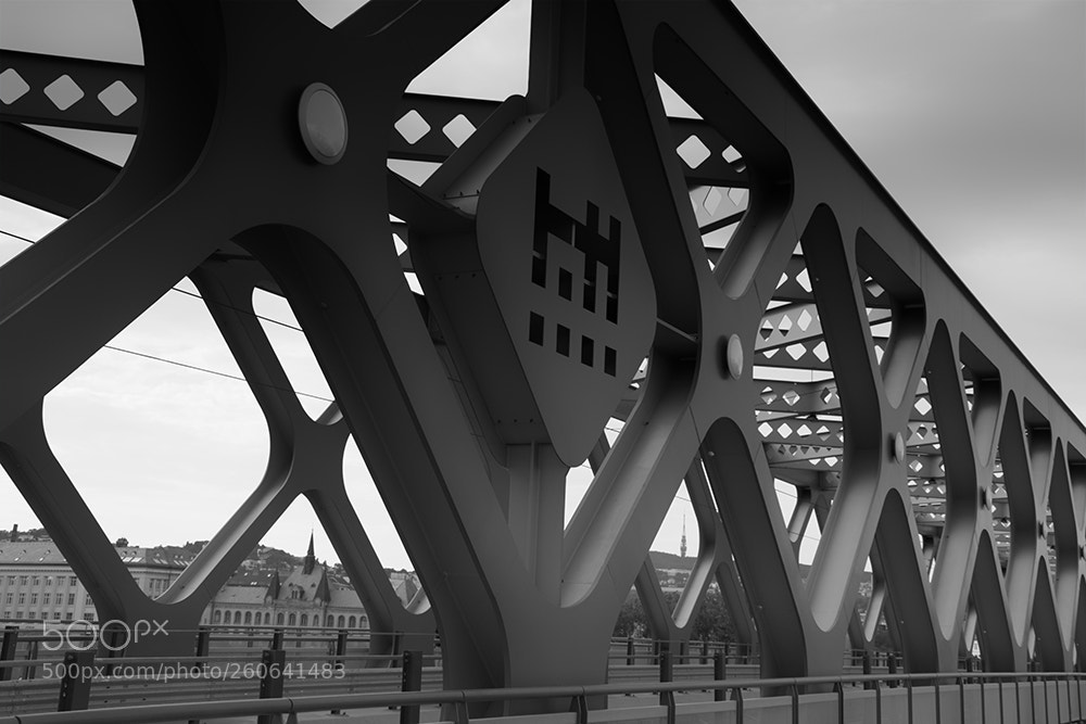 Nikon D5300 sample photo. On the bridge photography