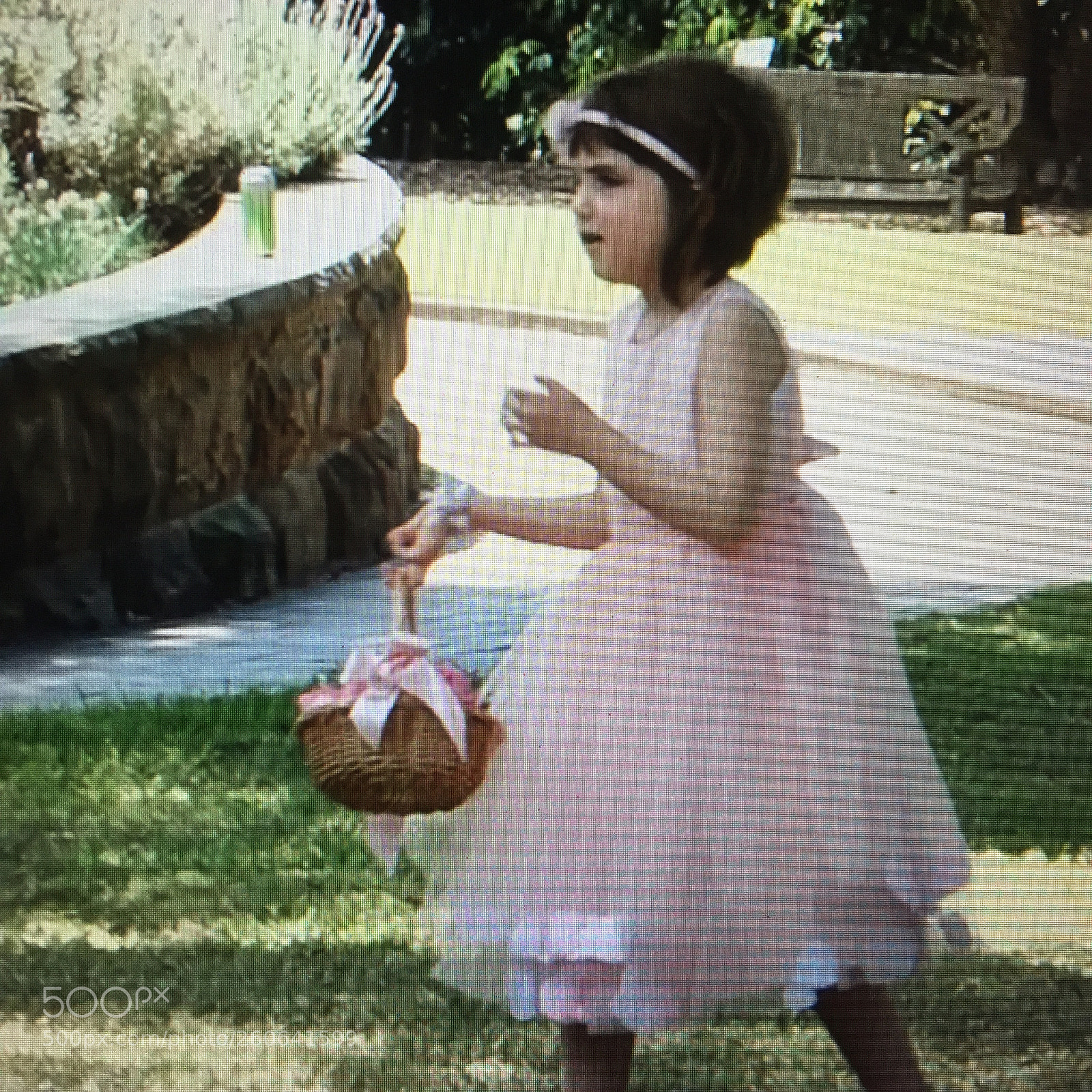 Apple iPhone 6 Plus sample photo. Popmixer.flower girl doing her photography
