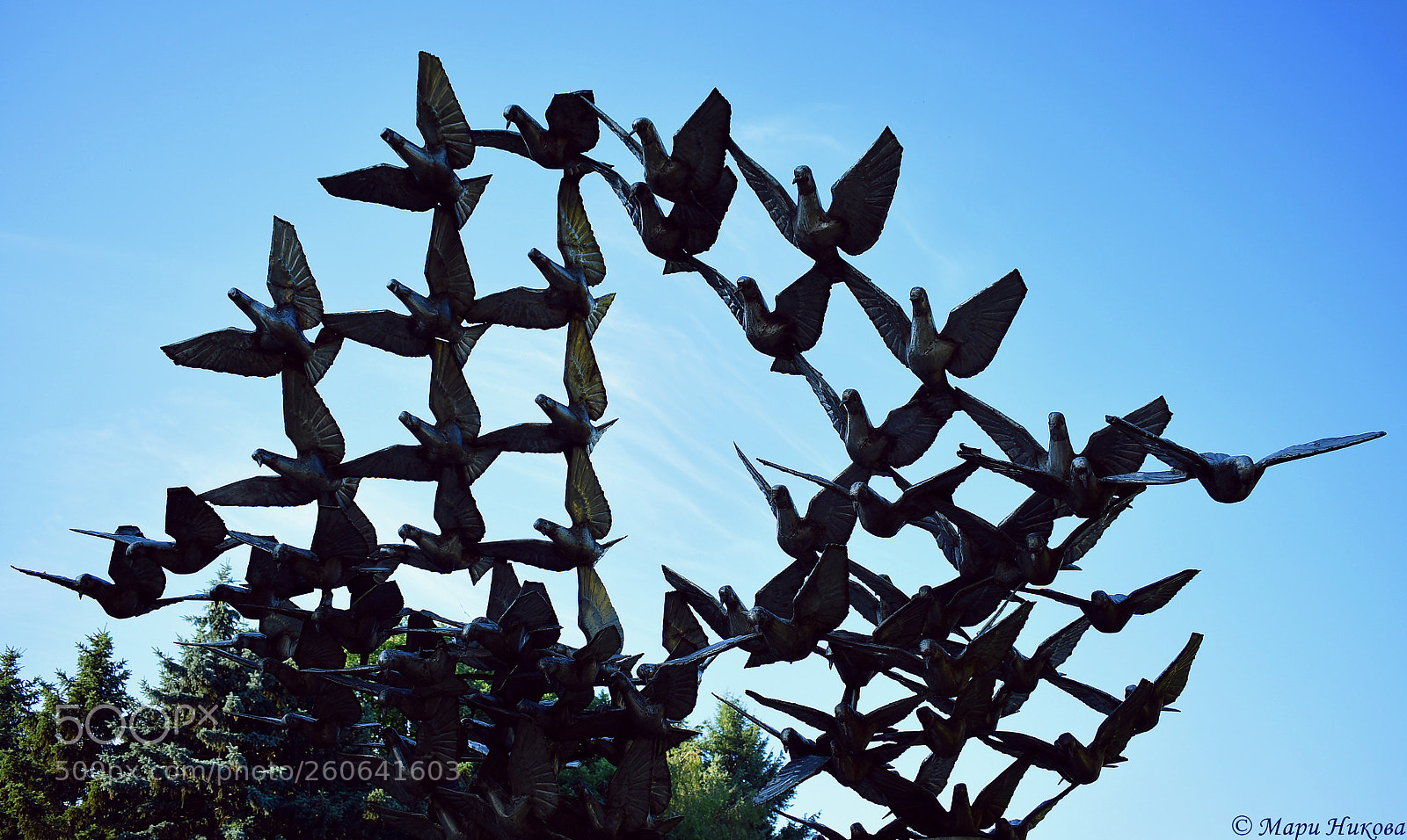 Nikon D3400 sample photo. The south park, sofia photography